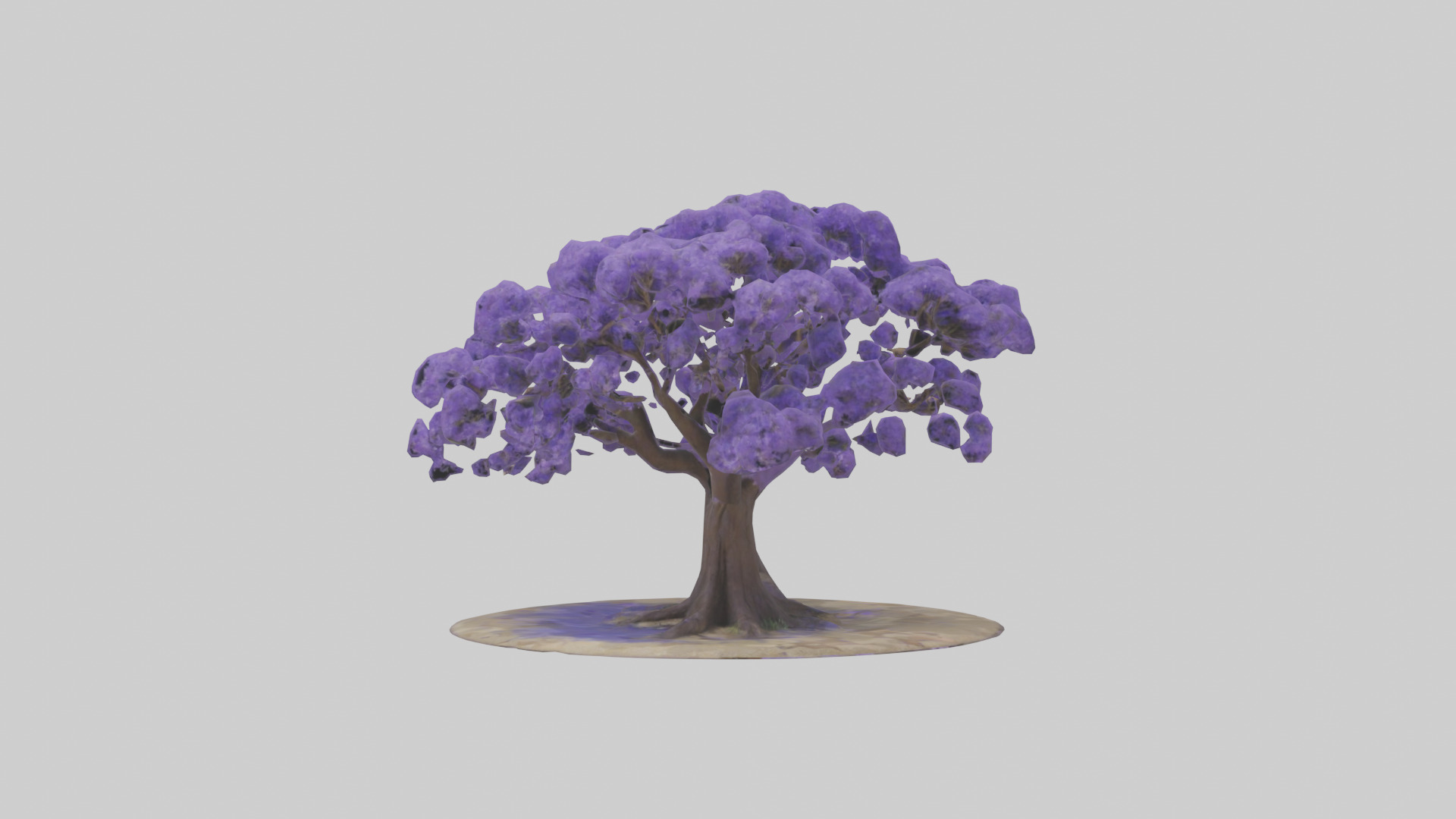Jacaranda tree model Low-poly 3D model_9