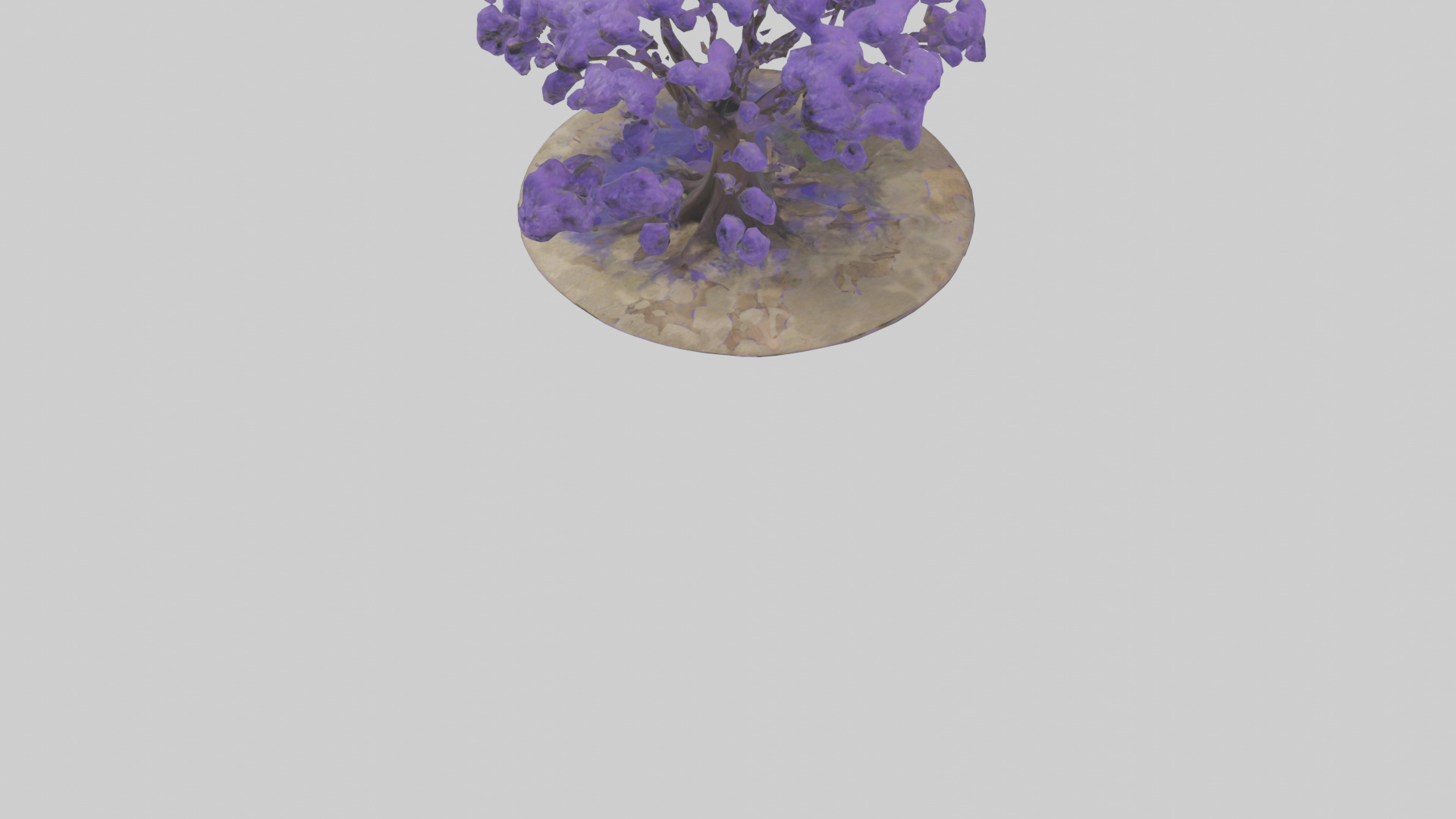Jacaranda tree model Low-poly 3D model_5