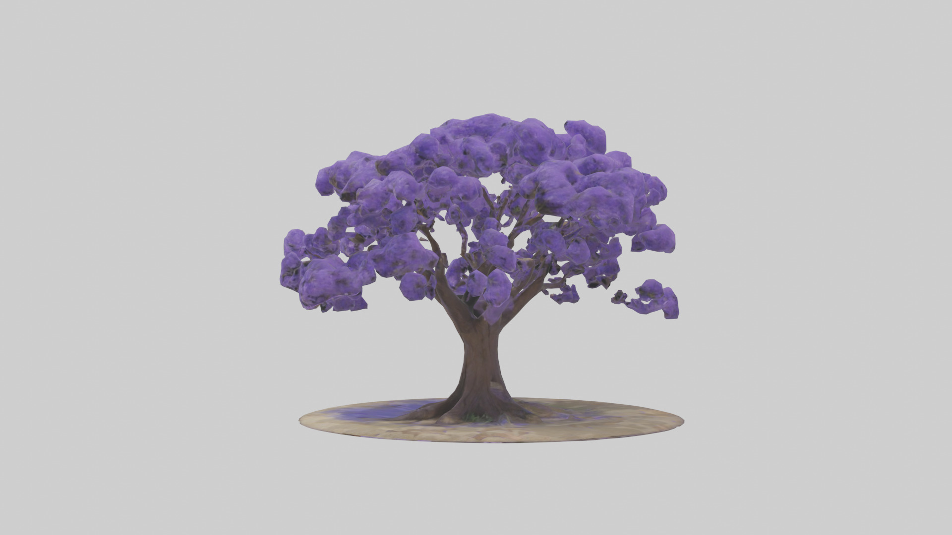 Jacaranda tree model Low-poly 3D model_10