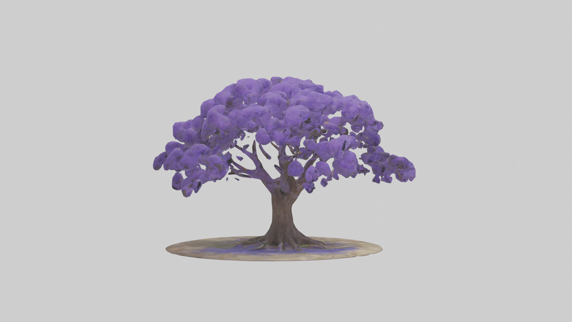 Jacaranda tree model Low-poly 3D model_13