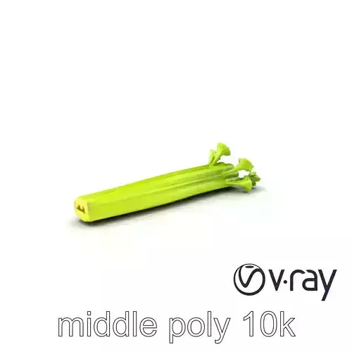 Celery Stalk with Vibrant Green Fibers model pack Low-poly 3D model