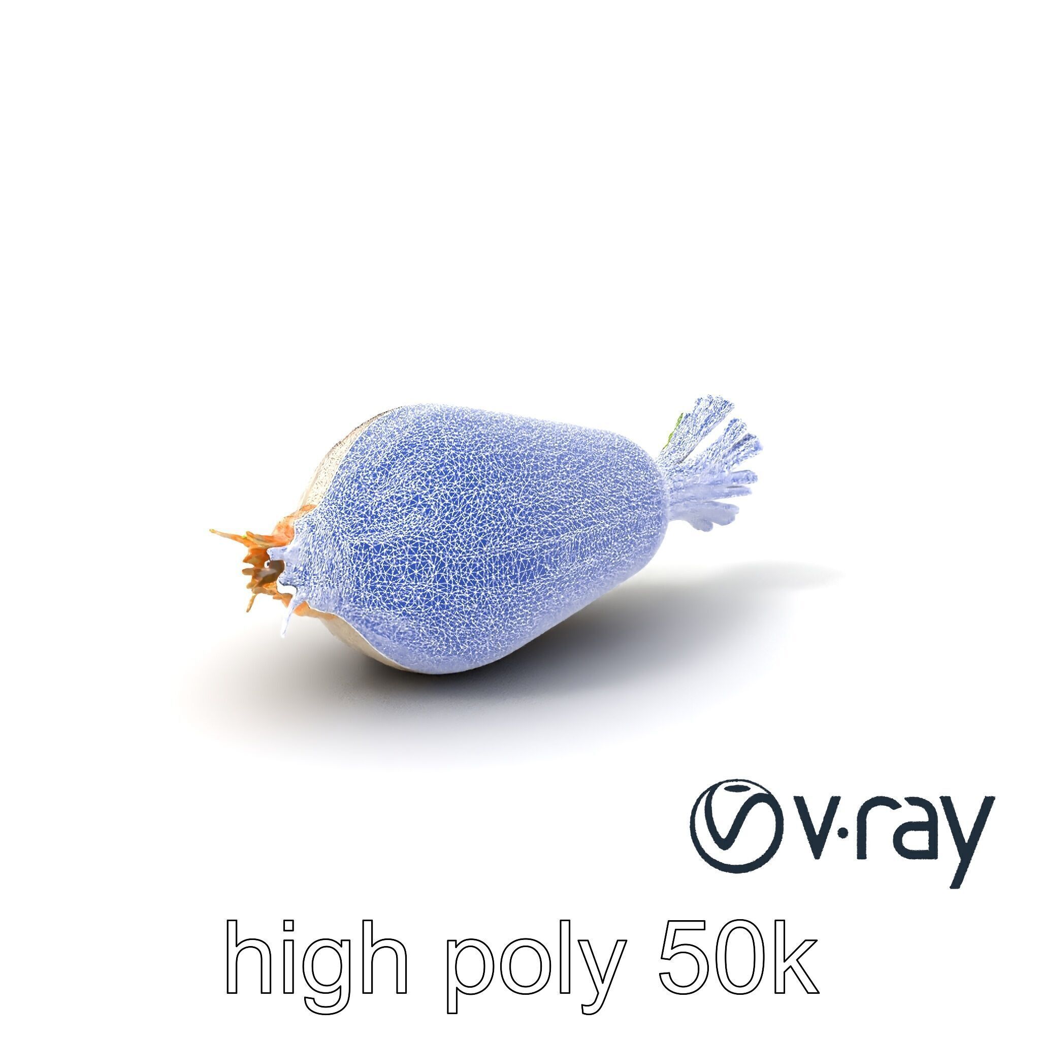 Detailed Daikon Radish Vegetable model pack Low-poly 3D model_31