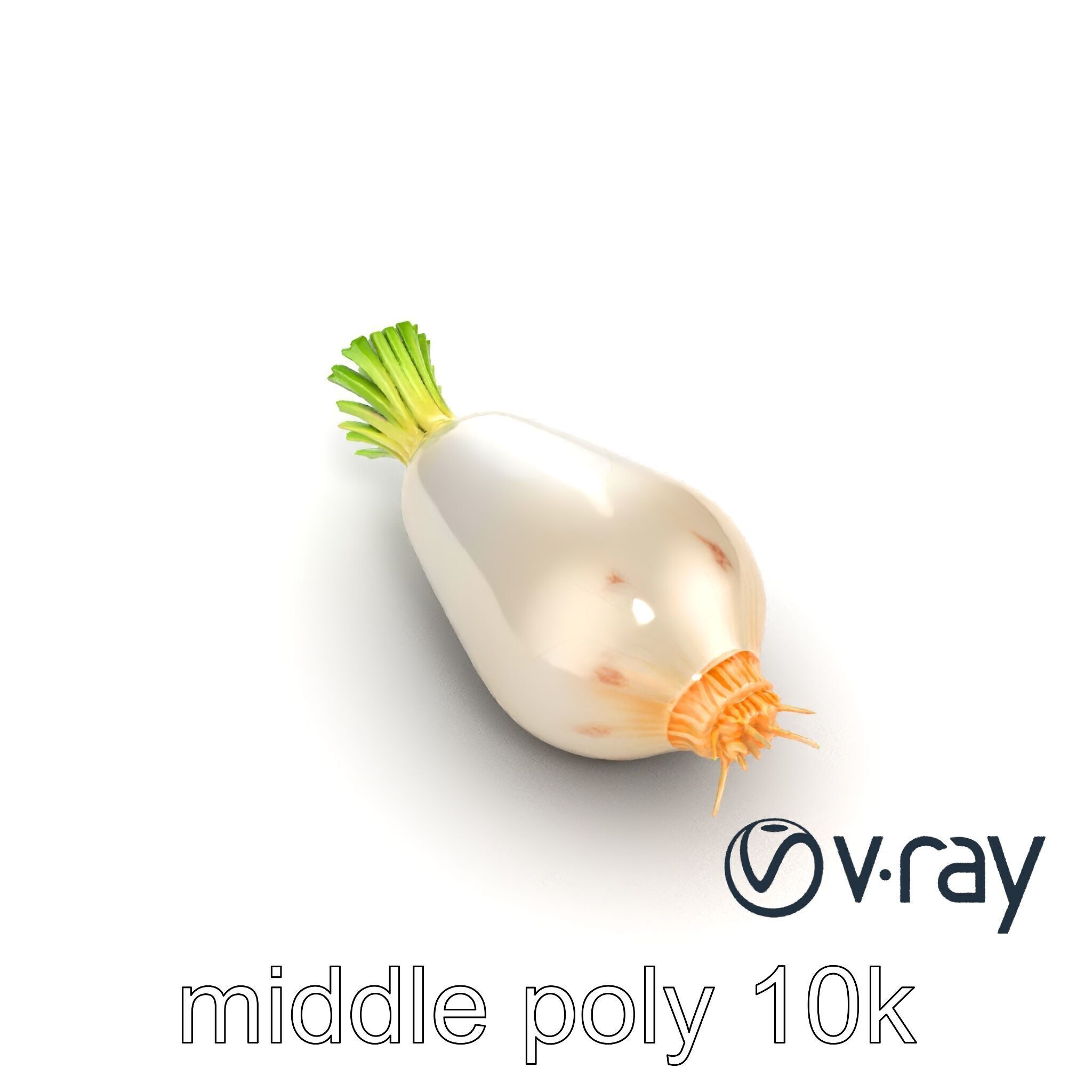 Detailed Daikon Radish Vegetable model pack Low-poly 3D model_25