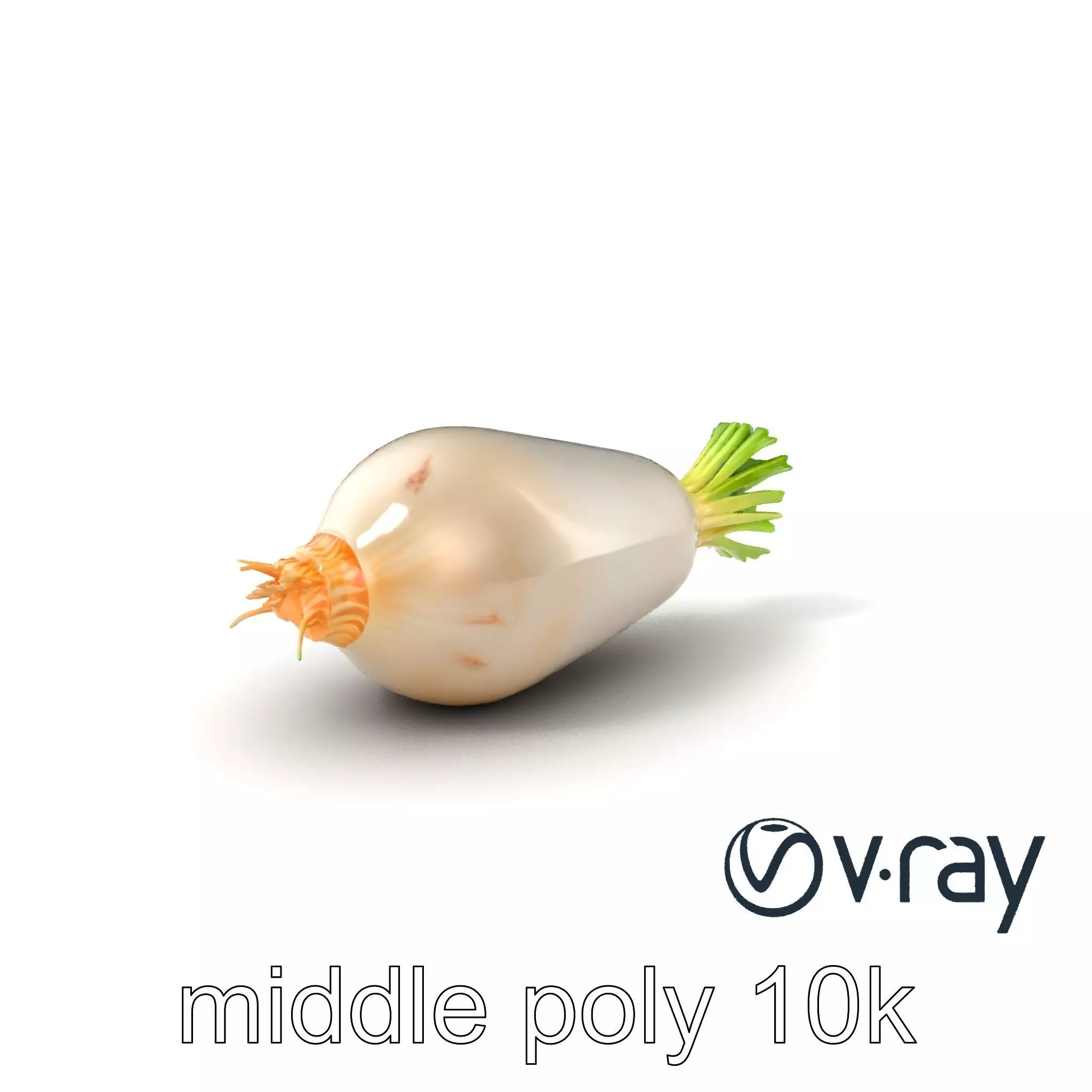 Detailed Daikon Radish Vegetable model pack Low-poly 3D model_0