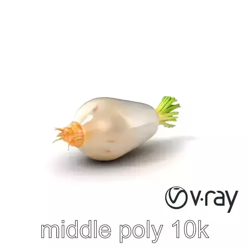 Detailed Daikon Radish Vegetable model pack Low-poly 3D model