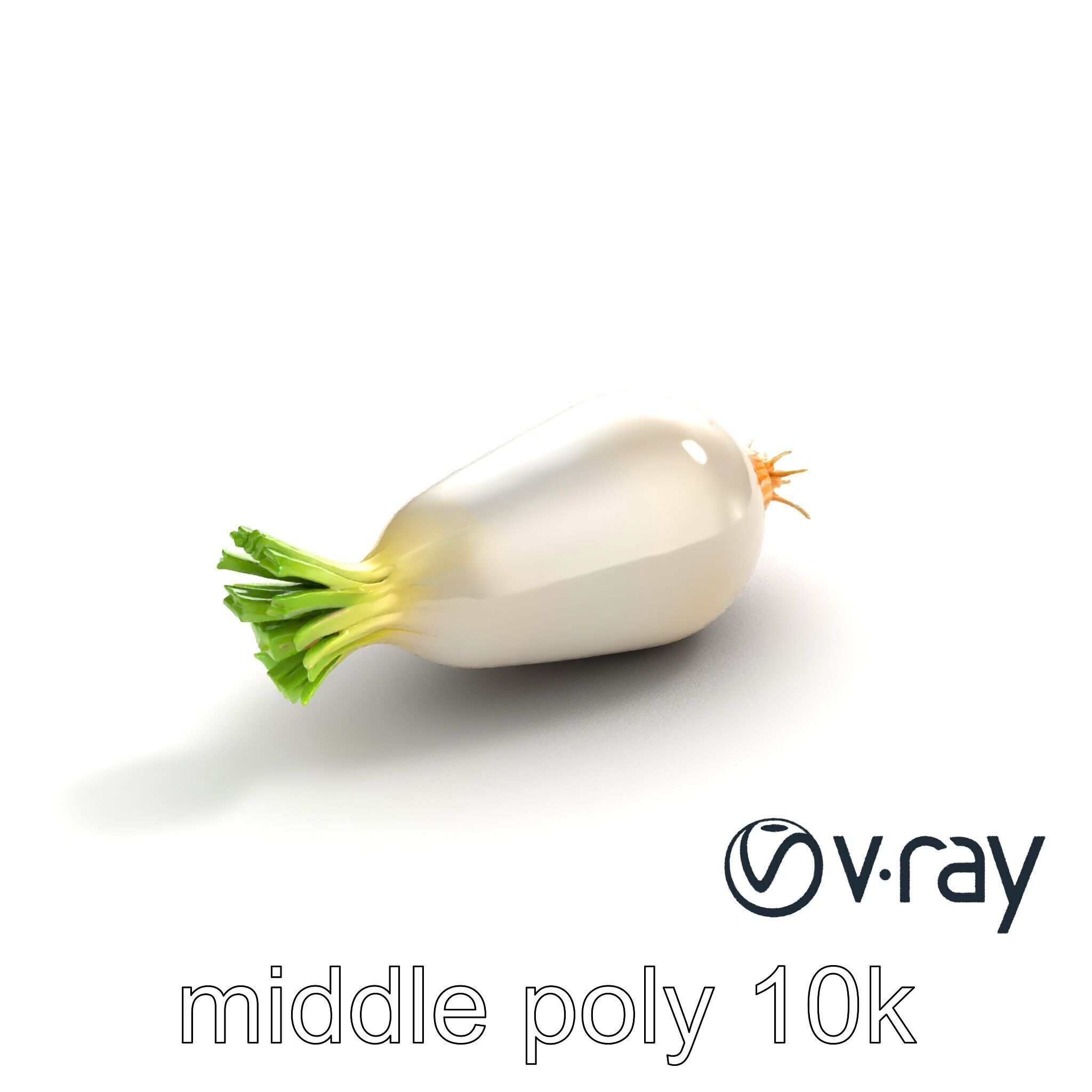 Detailed Daikon Radish Vegetable model pack Low-poly 3D model_7