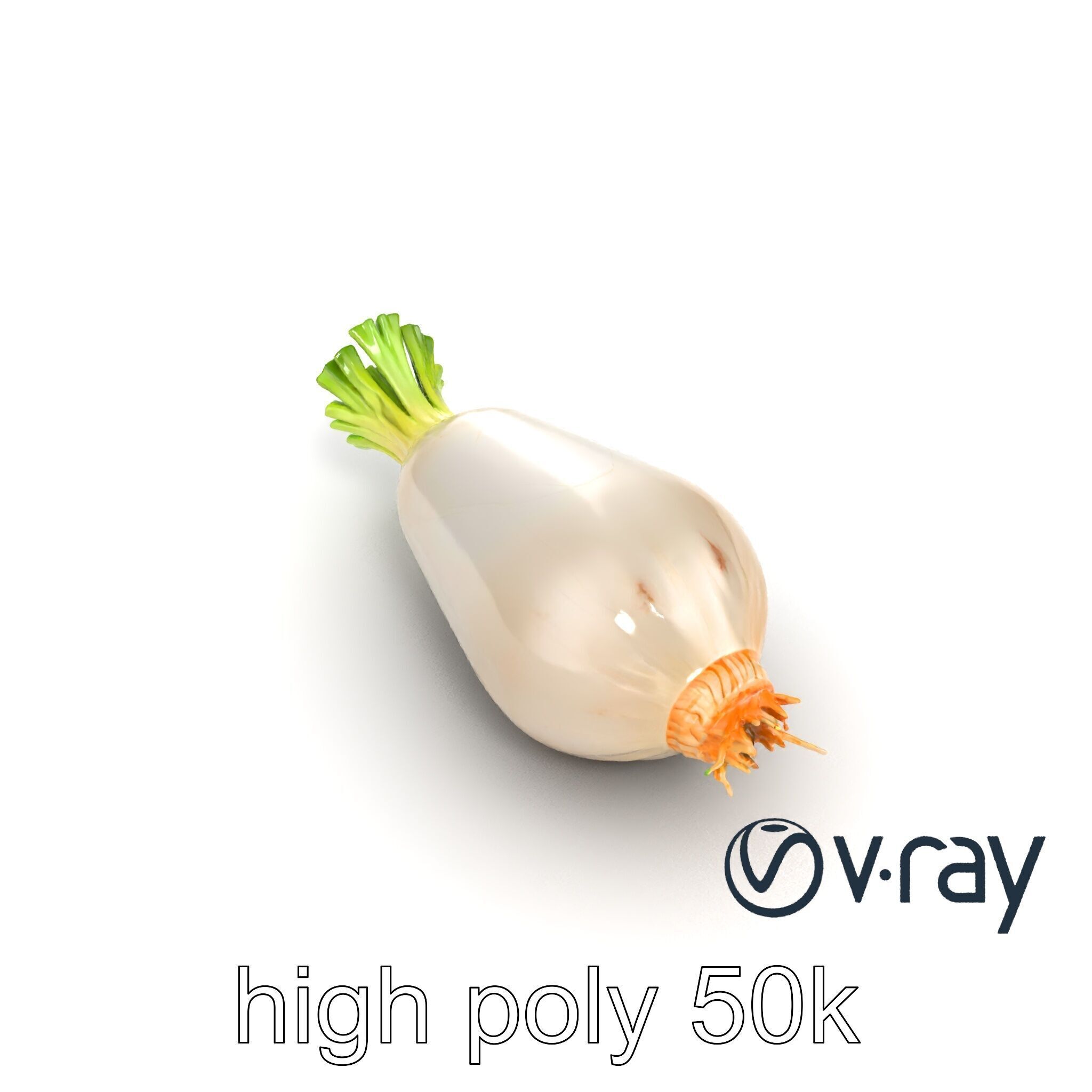 Detailed Daikon Radish Vegetable model pack Low-poly 3D model_16