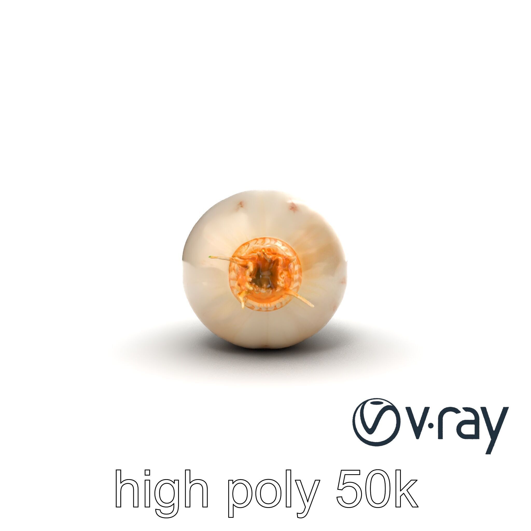 Detailed Daikon Radish Vegetable model pack Low-poly 3D model_13