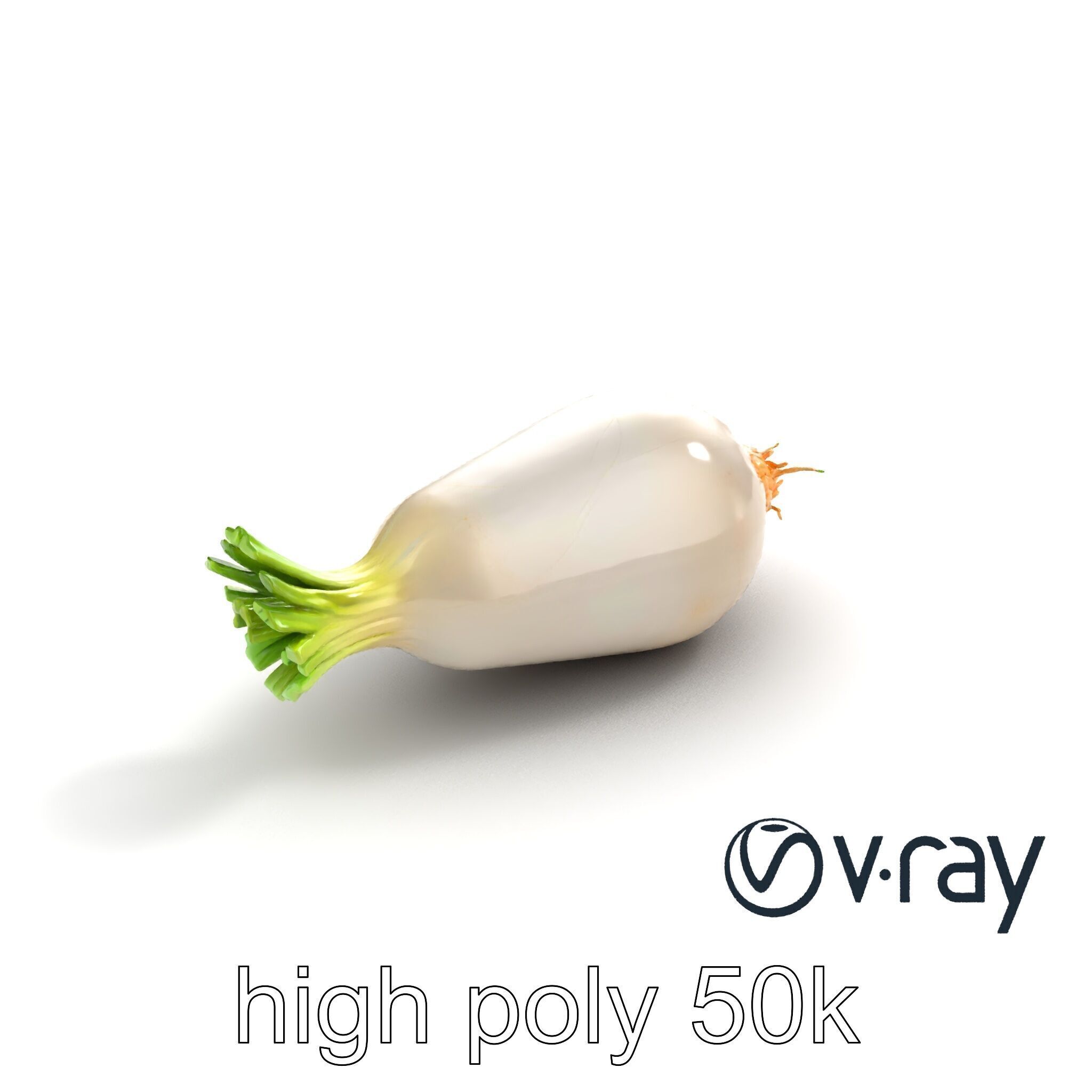Detailed Daikon Radish Vegetable model pack Low-poly 3D model_9