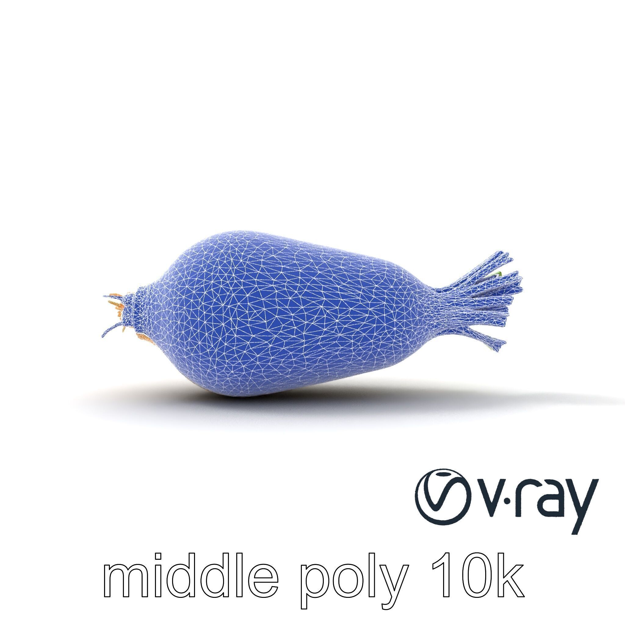 Detailed Daikon Radish Vegetable model pack Low-poly 3D model_23