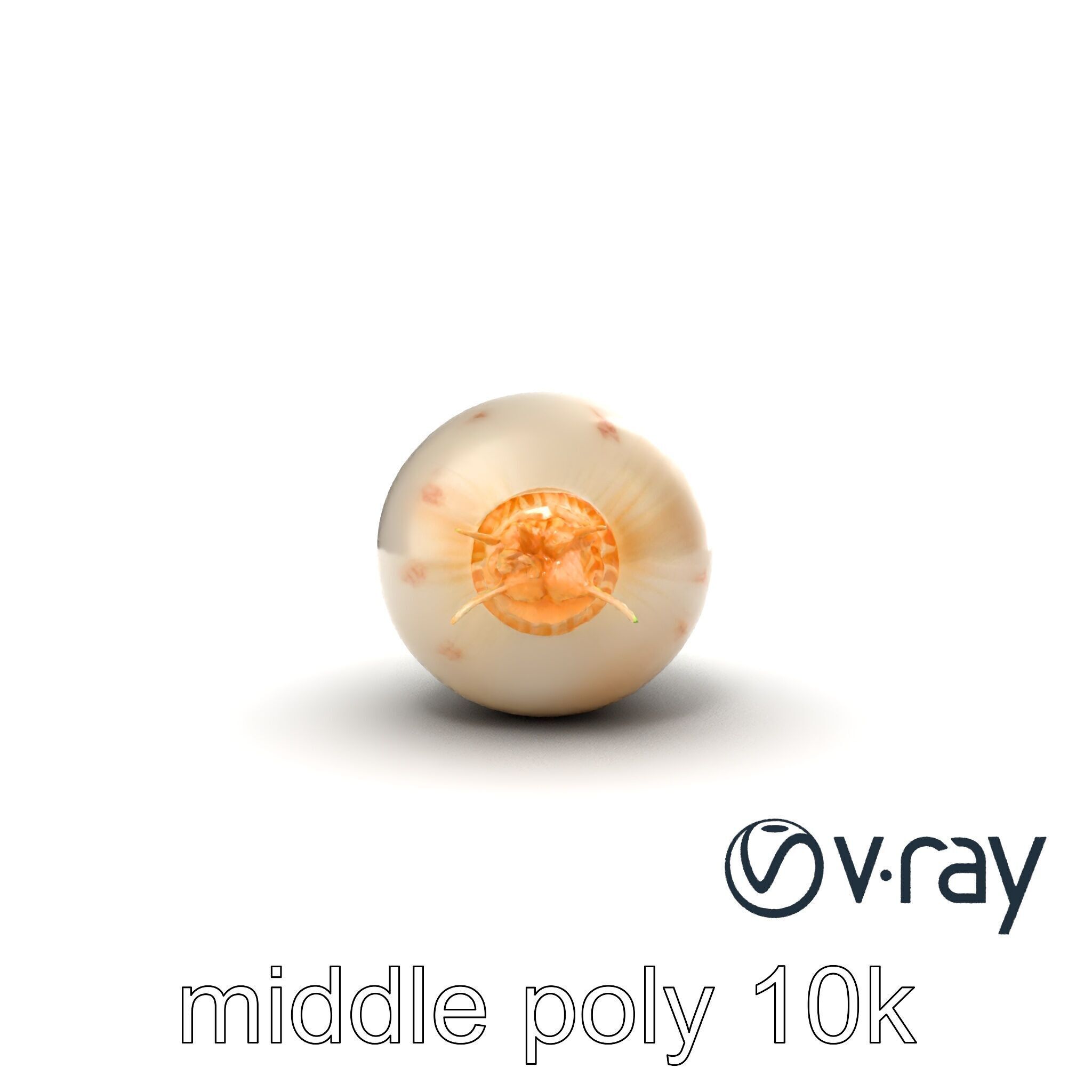 Detailed Daikon Radish Vegetable model pack Low-poly 3D model_14