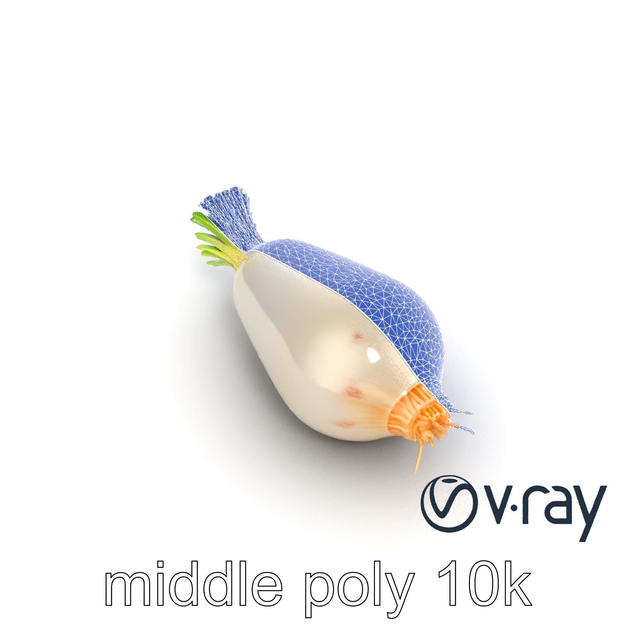 Detailed Daikon Radish Vegetable model pack Low-poly 3D model_24