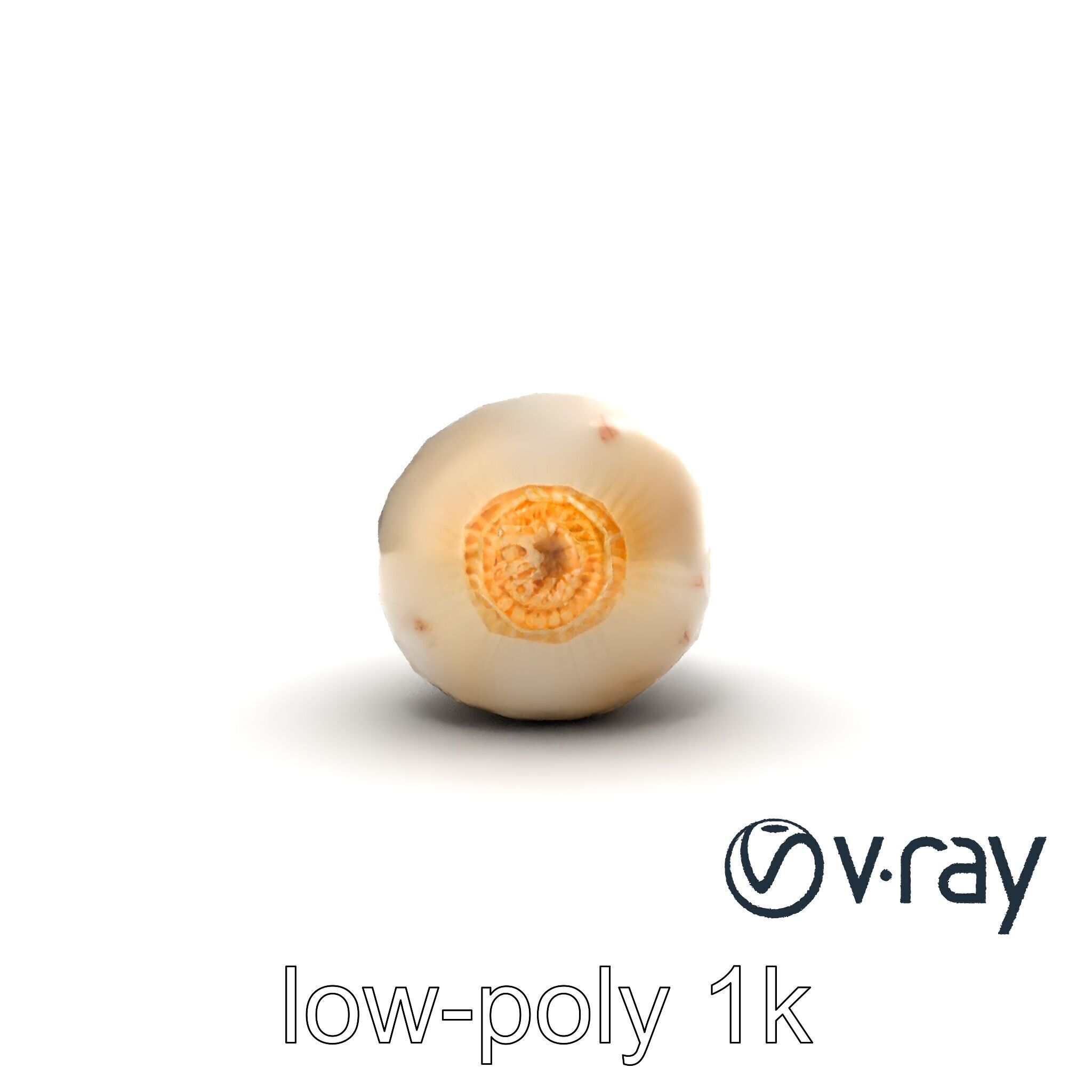 Detailed Daikon Radish Vegetable model pack Low-poly 3D model_17