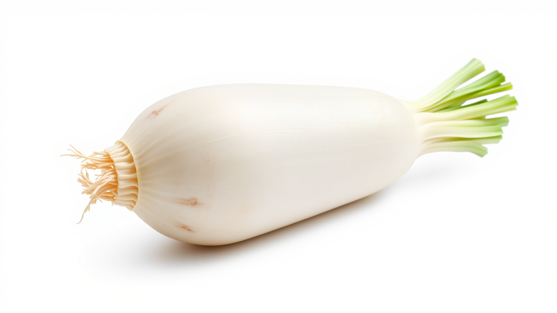 Detailed Daikon Radish Vegetable model pack Low-poly 3D model_3