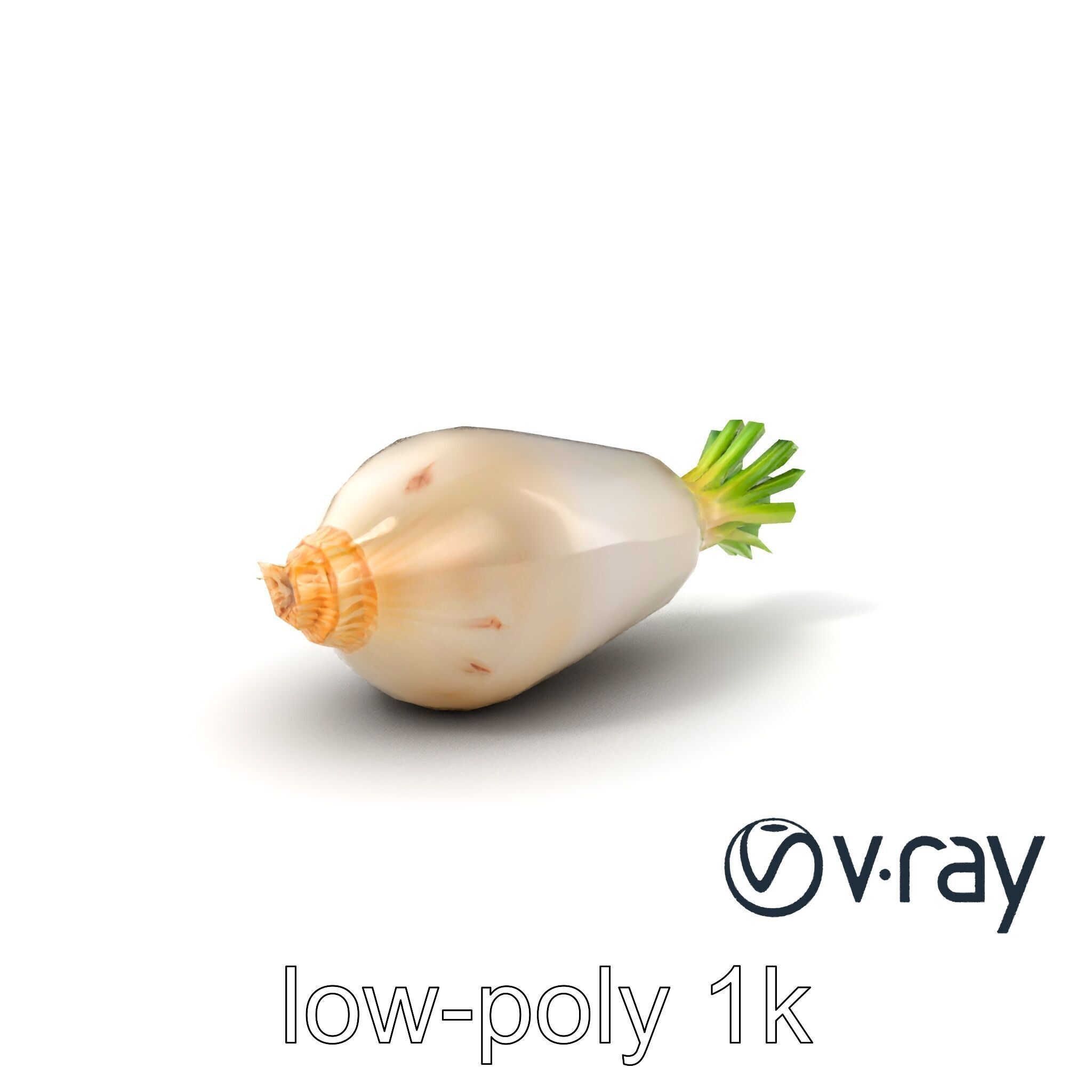 Detailed Daikon Radish Vegetable model pack Low-poly 3D model_2