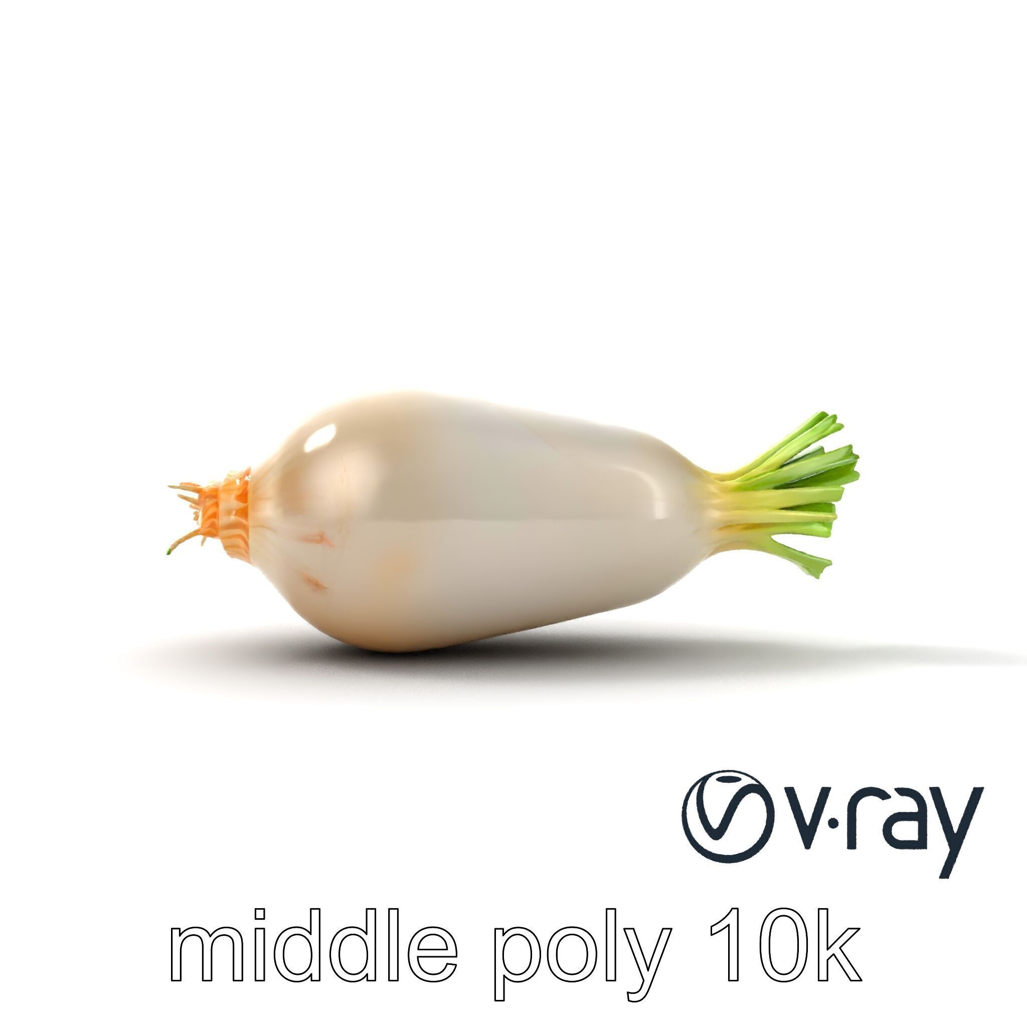 Detailed Daikon Radish Vegetable model pack Low-poly 3D model_18