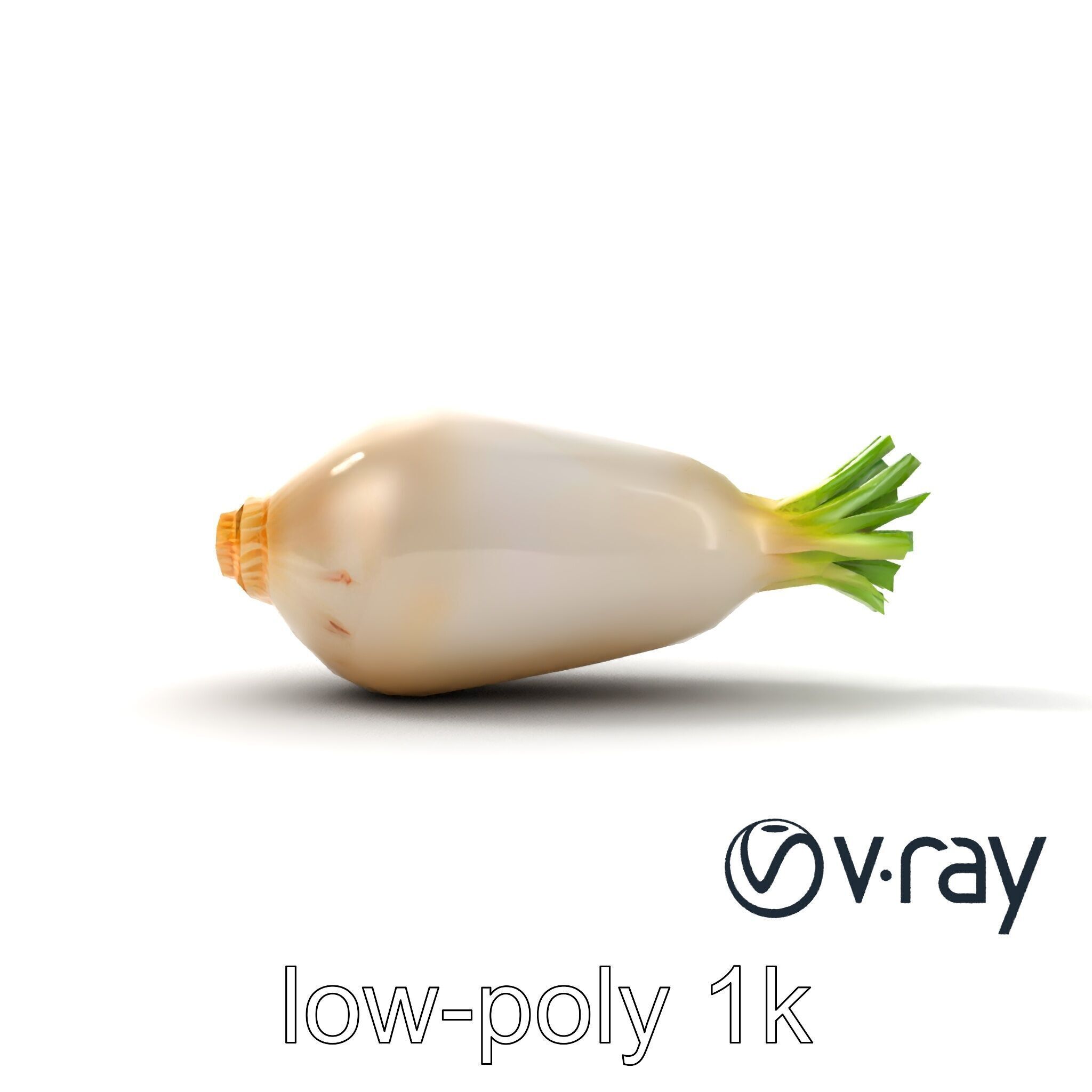 Detailed Daikon Radish Vegetable model pack Low-poly 3D model_12
