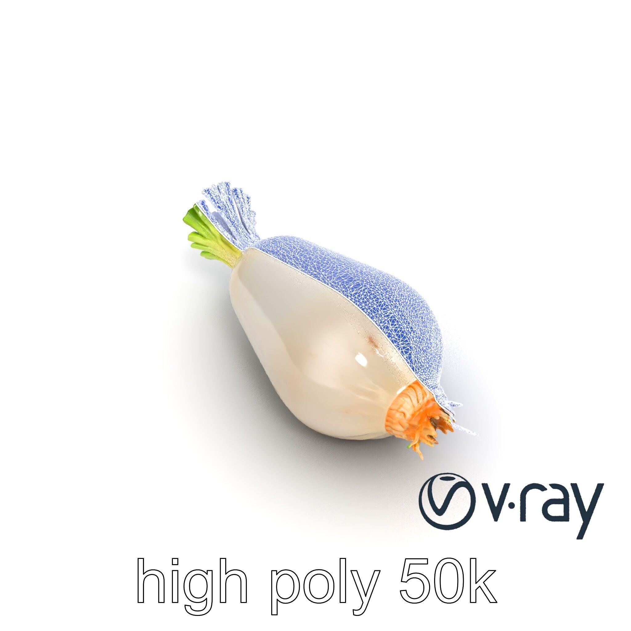 Detailed Daikon Radish Vegetable model pack Low-poly 3D model_21