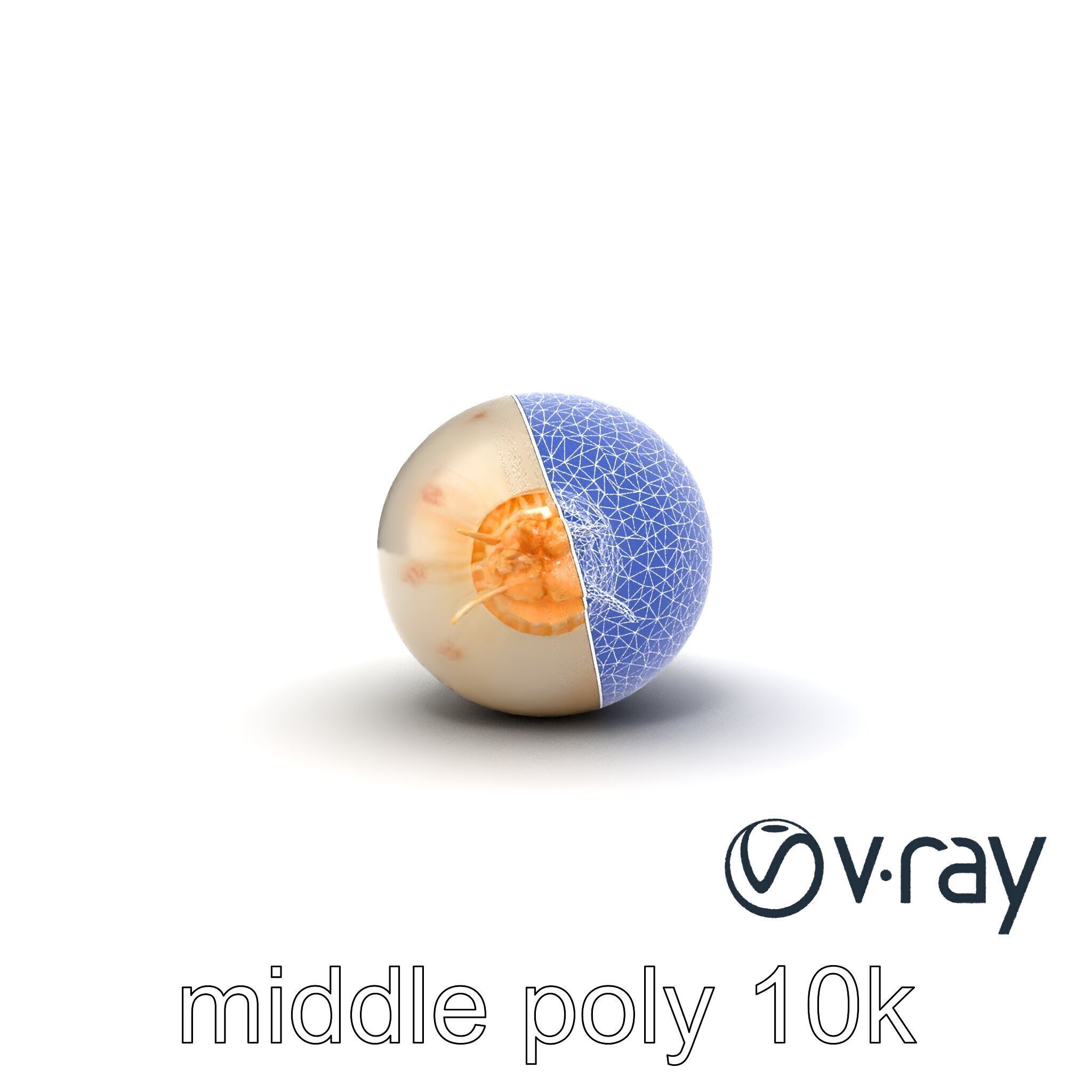 Detailed Daikon Radish Vegetable model pack Low-poly 3D model_22