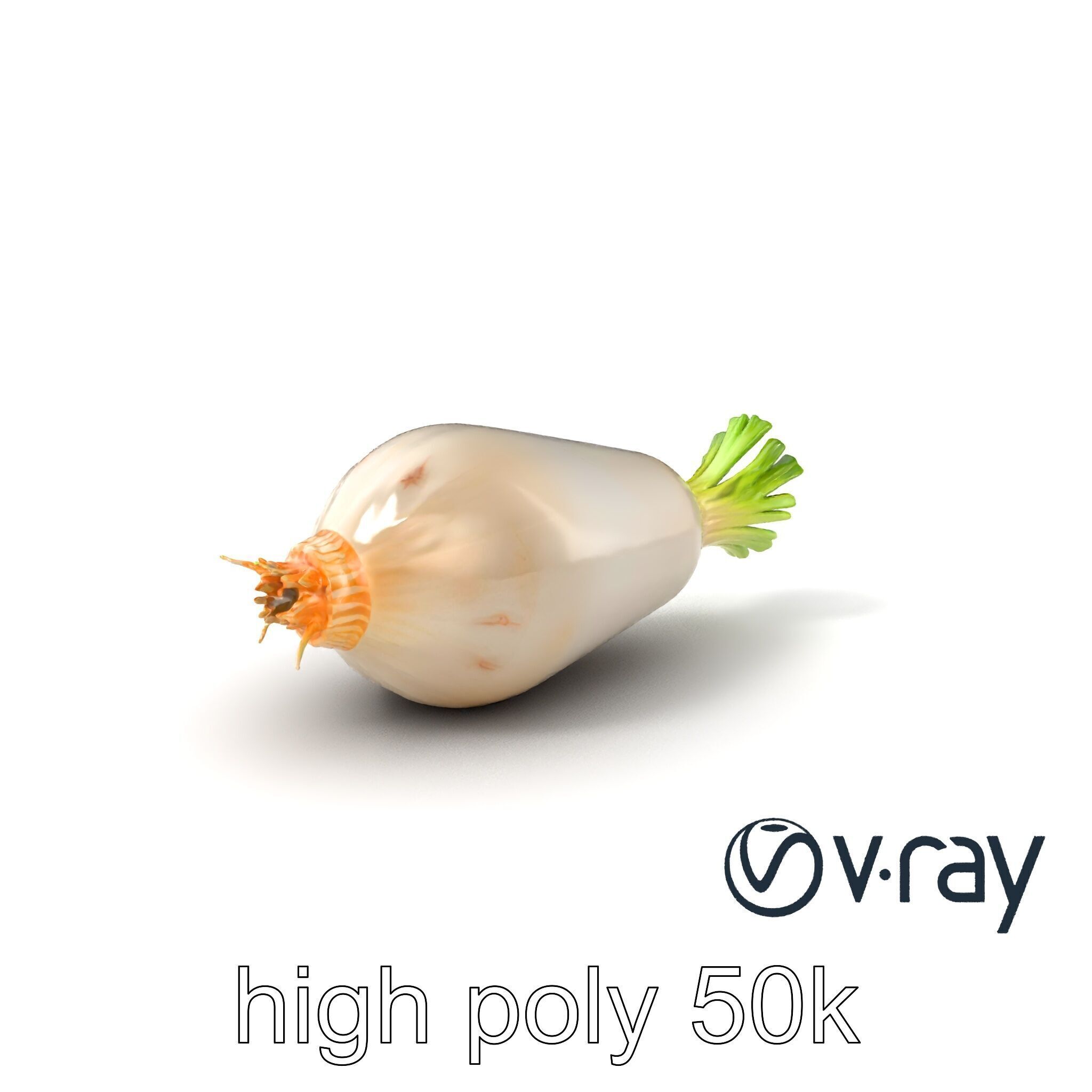 Detailed Daikon Radish Vegetable model pack Low-poly 3D model_6
