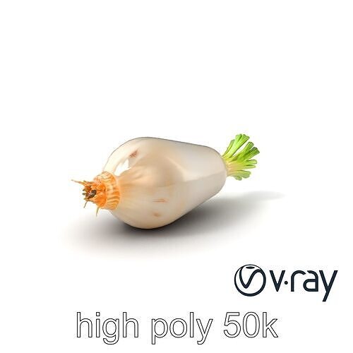 Detailed Daikon Radish Vegetable model pack Low-poly 3D model 7