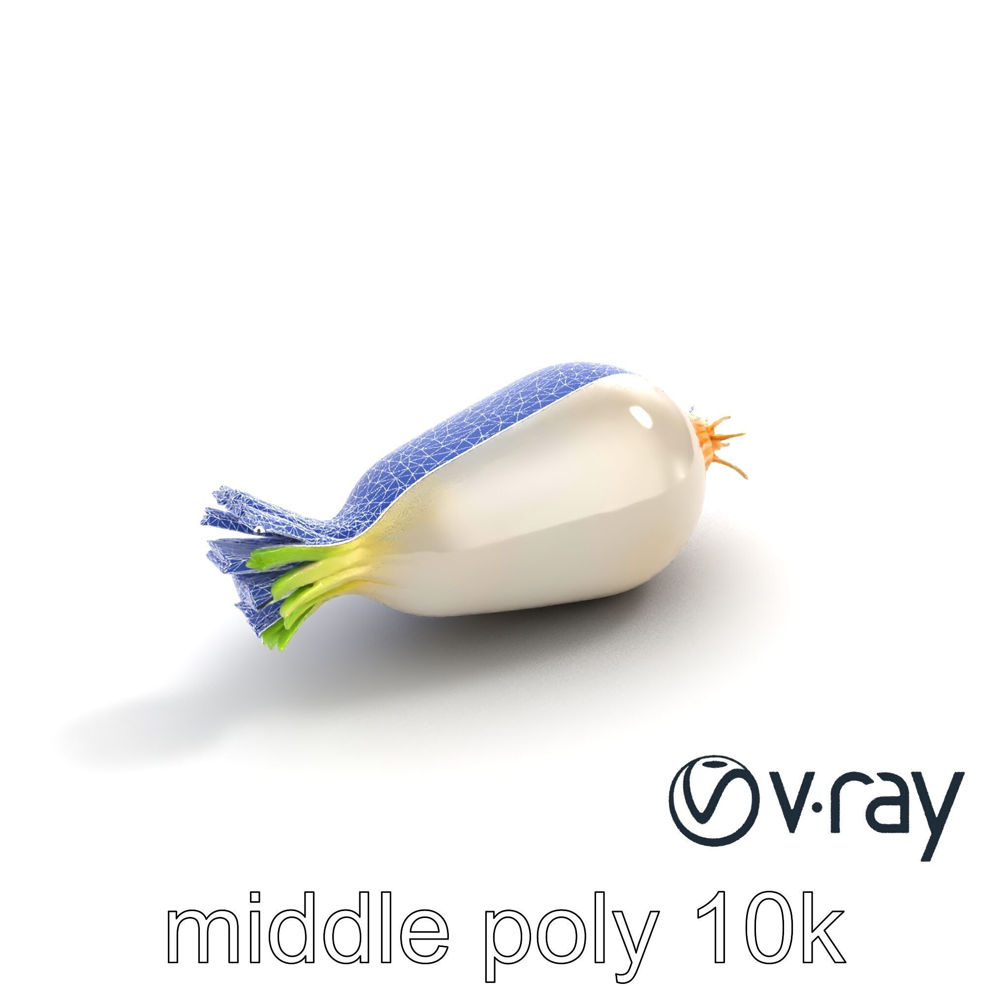 Detailed Daikon Radish Vegetable model pack Low-poly 3D model_10
