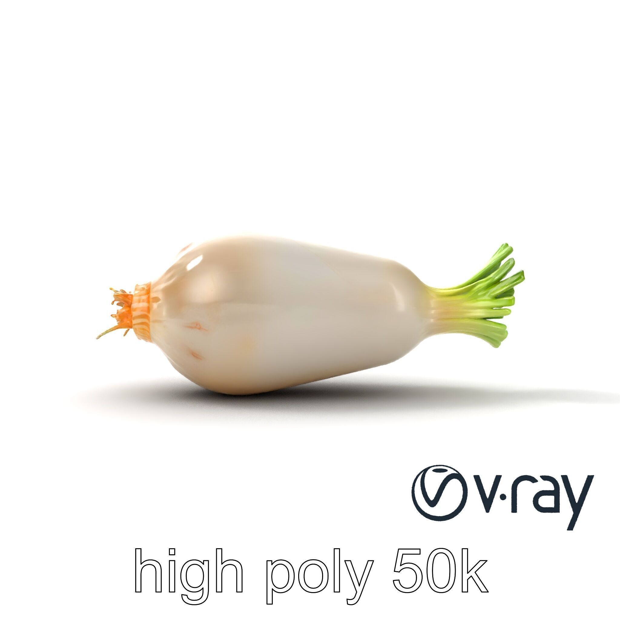 Detailed Daikon Radish Vegetable model pack Low-poly 3D model_11