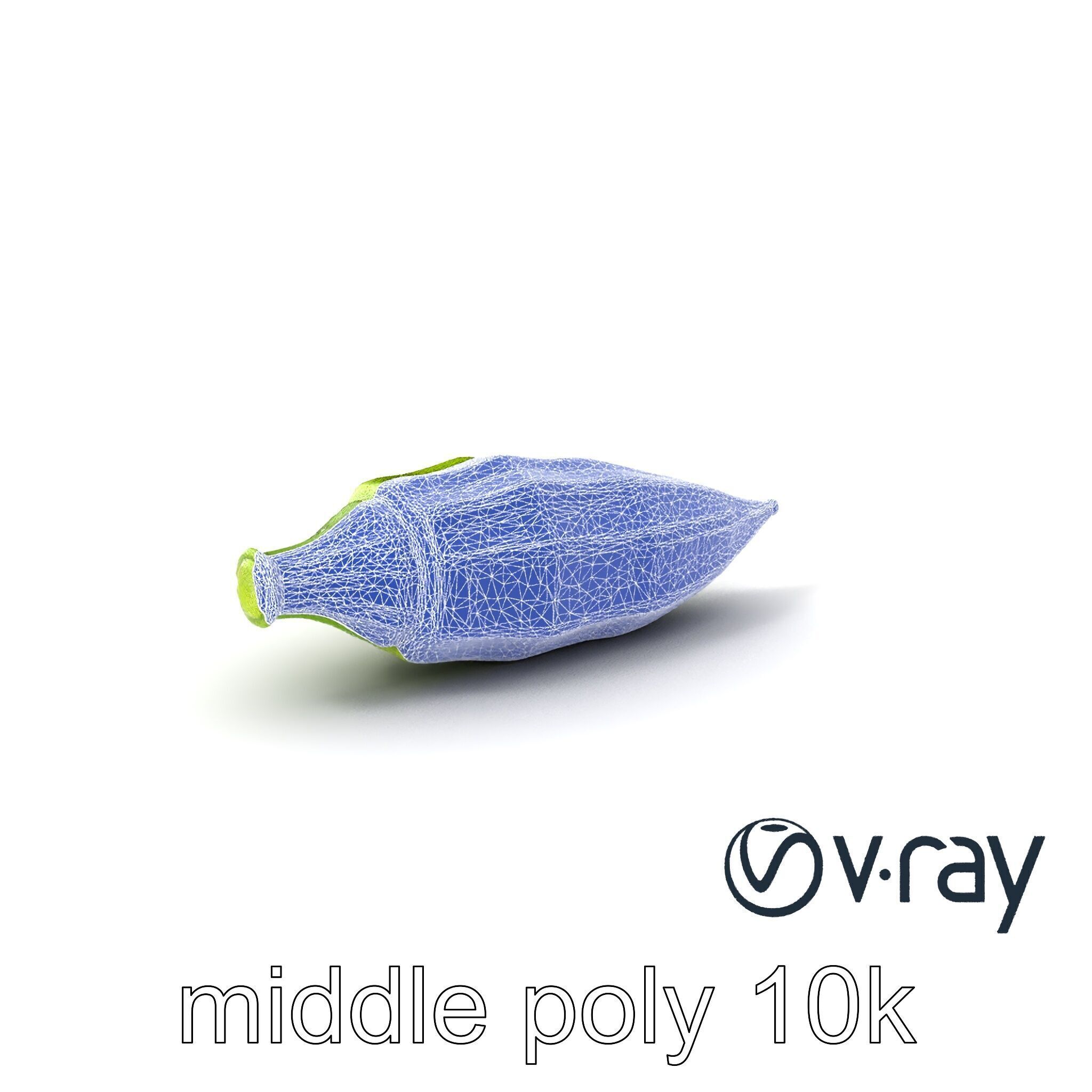 Realistic Okra Pod Model Pack Low-poly 3D model_4