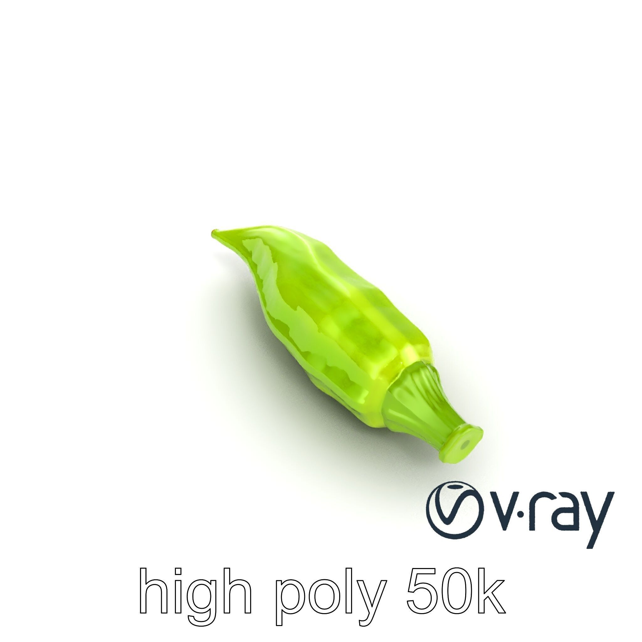 Realistic Okra Pod Model Pack Low-poly 3D model_27