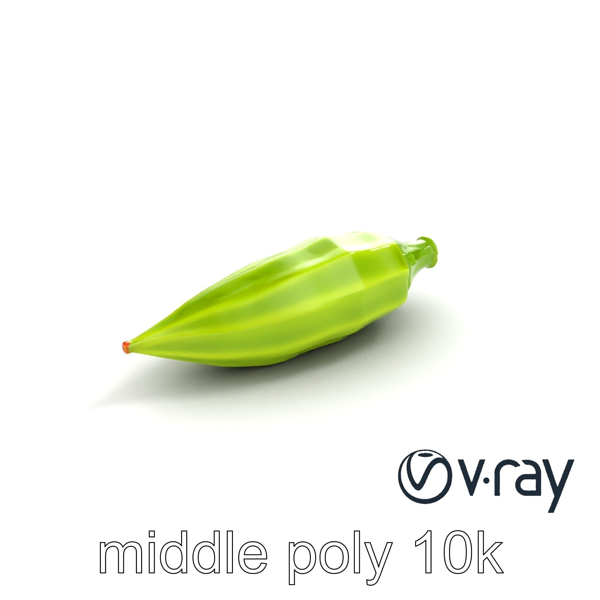 Realistic Okra Pod Model Pack Low-poly 3D model_7