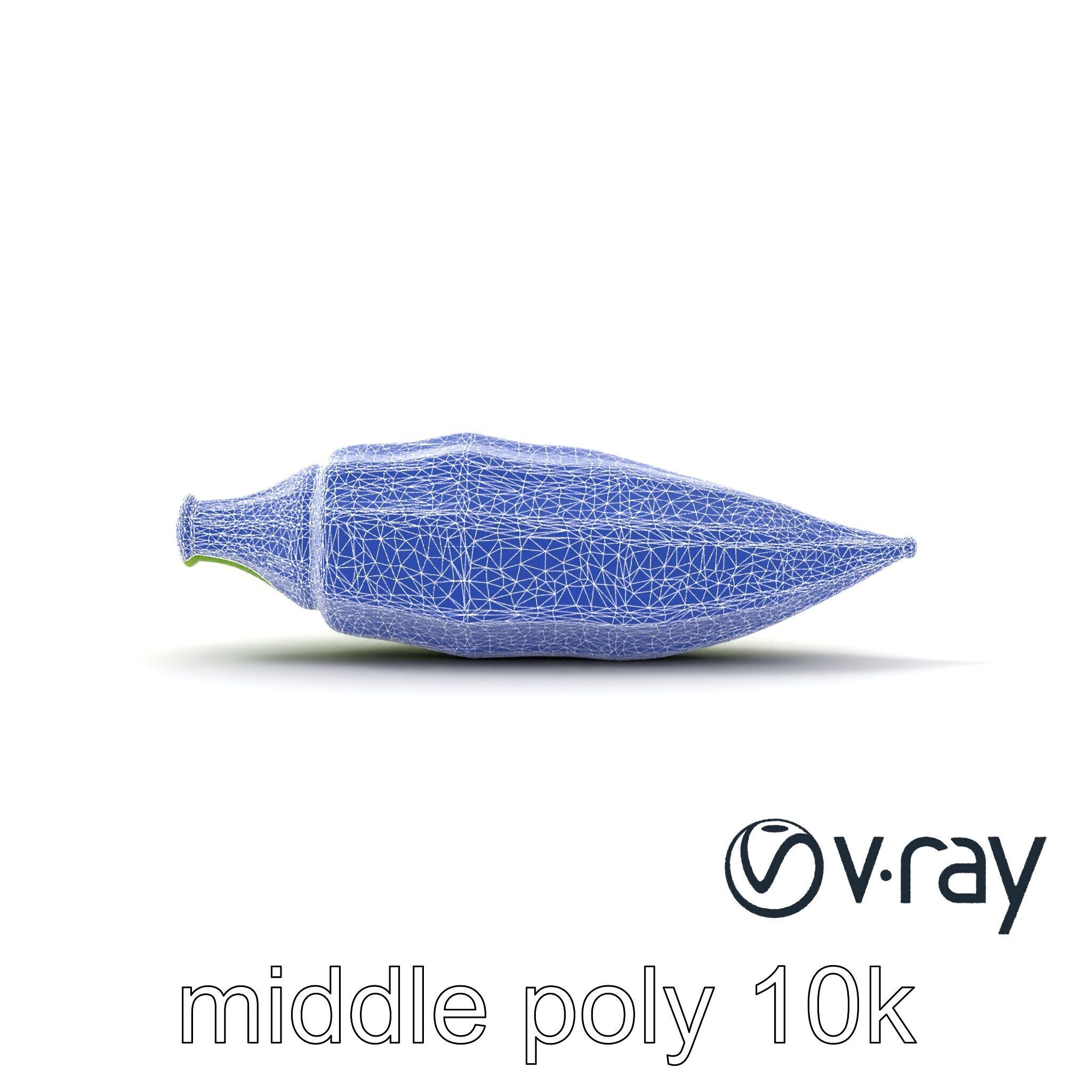Realistic Okra Pod Model Pack Low-poly 3D model_28