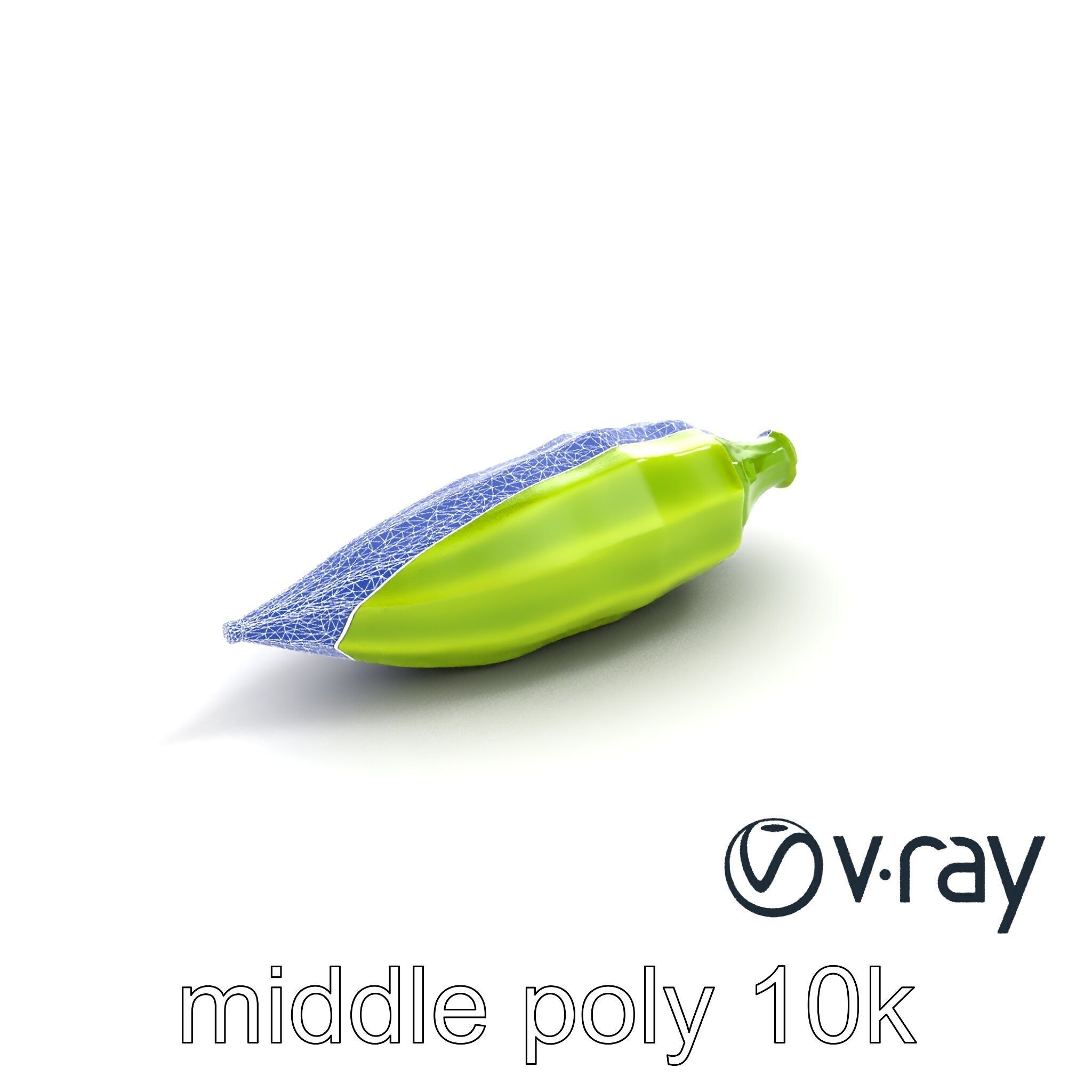 Realistic Okra Pod Model Pack Low-poly 3D model_10