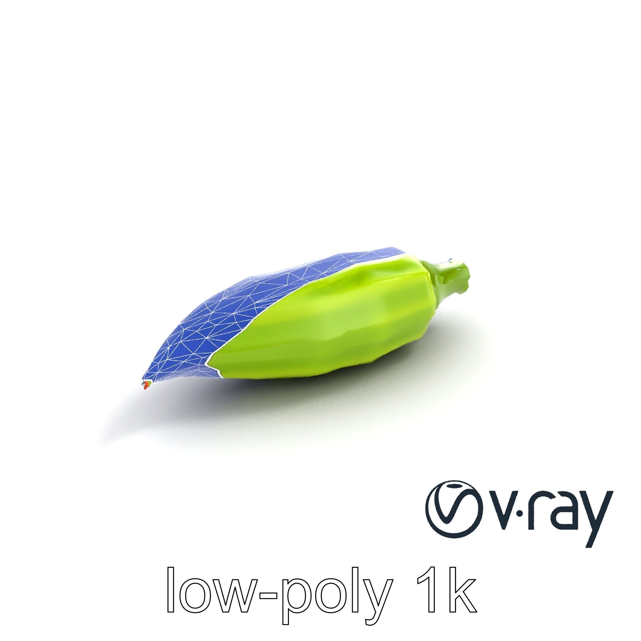 Realistic Okra Pod Model Pack Low-poly 3D model_14