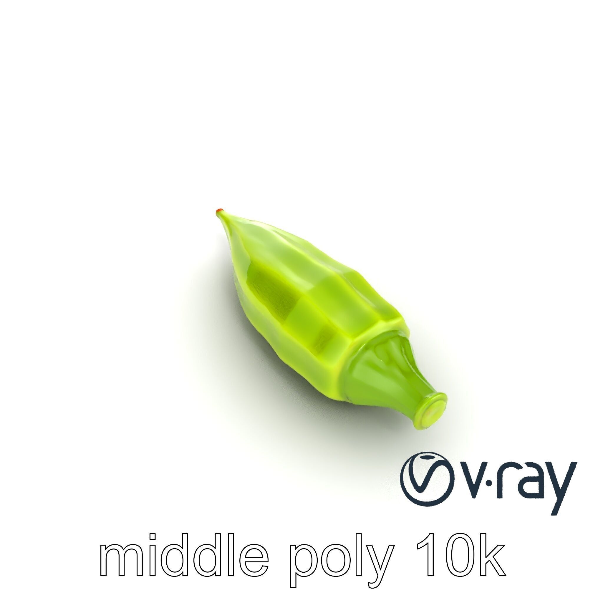 Realistic Okra Pod Model Pack Low-poly 3D model_13