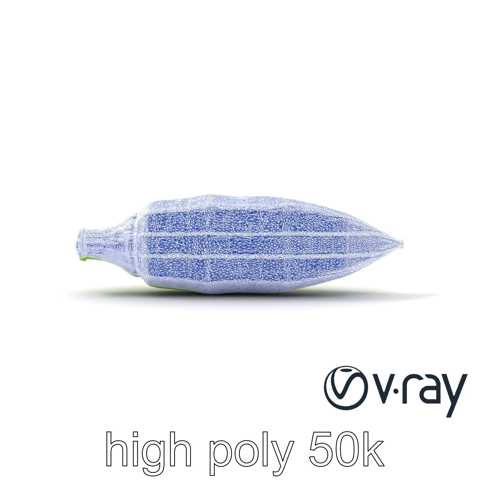 Realistic Okra Pod Model Pack Low-poly 3D model_30