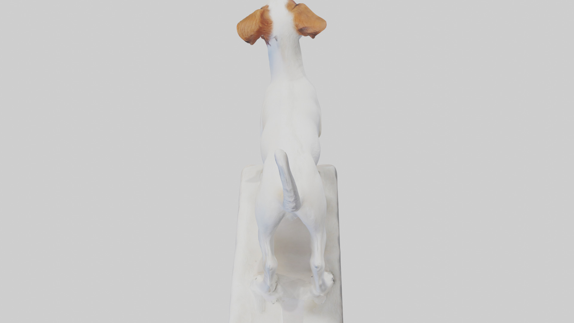 Jack Russell Terrier statue model Low-poly 3D model_17