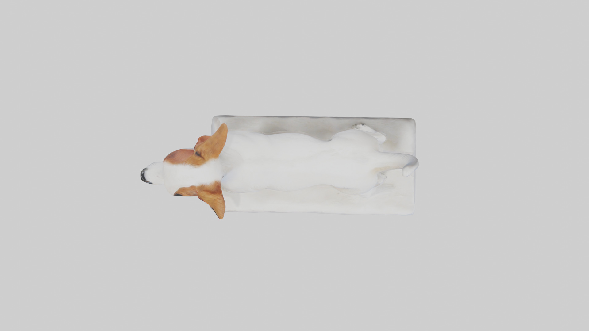 Jack Russell Terrier statue model Low-poly 3D model_14