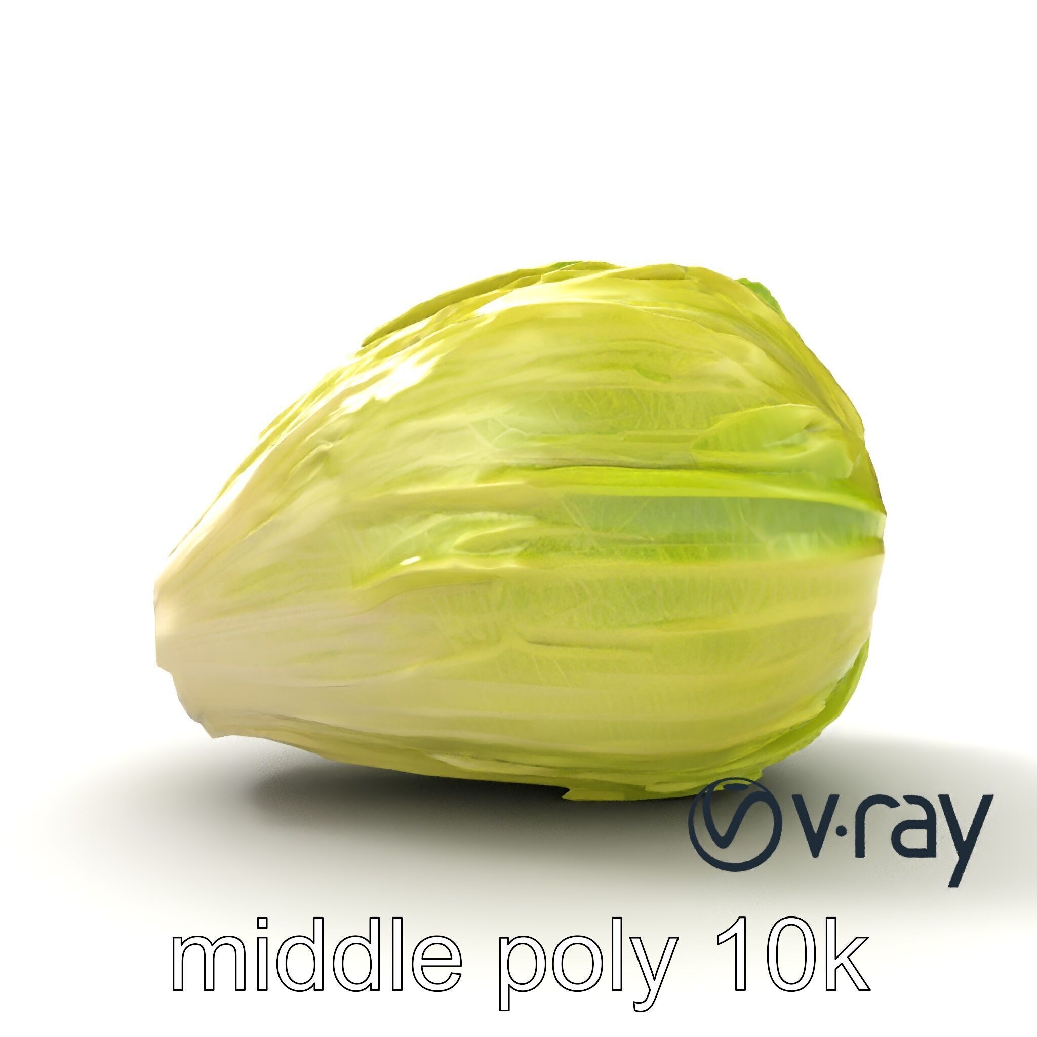 Realistic Chinese Cabbage Model Pack Low-poly 3D model_10