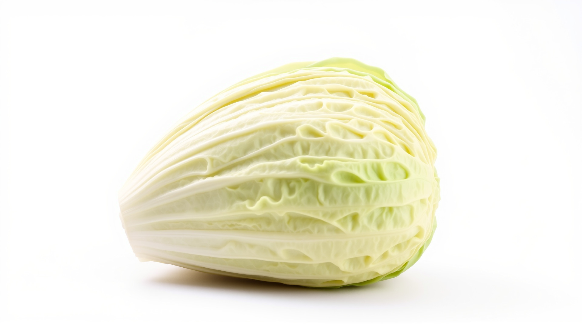 Realistic Chinese Cabbage Model Pack Low-poly 3D model_3