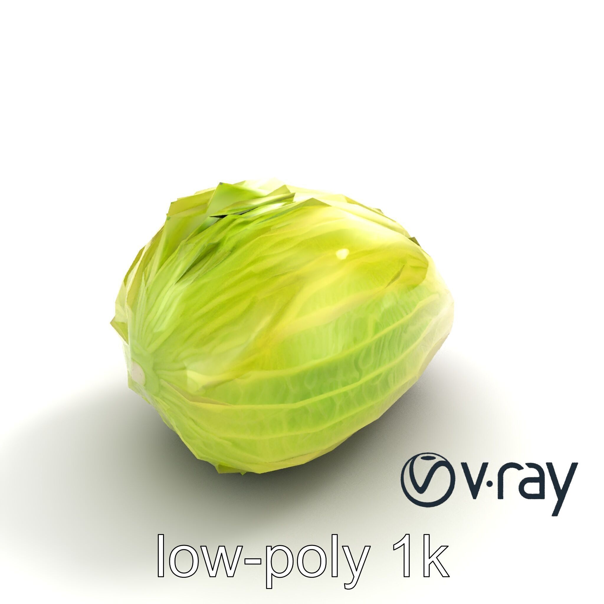 Realistic Chinese Cabbage Model Pack Low-poly 3D model_8