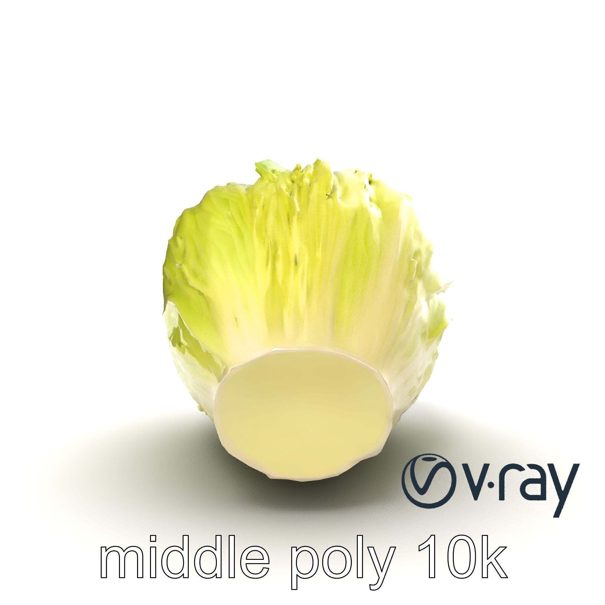 Realistic Chinese Cabbage Model Pack Low-poly 3D model_17