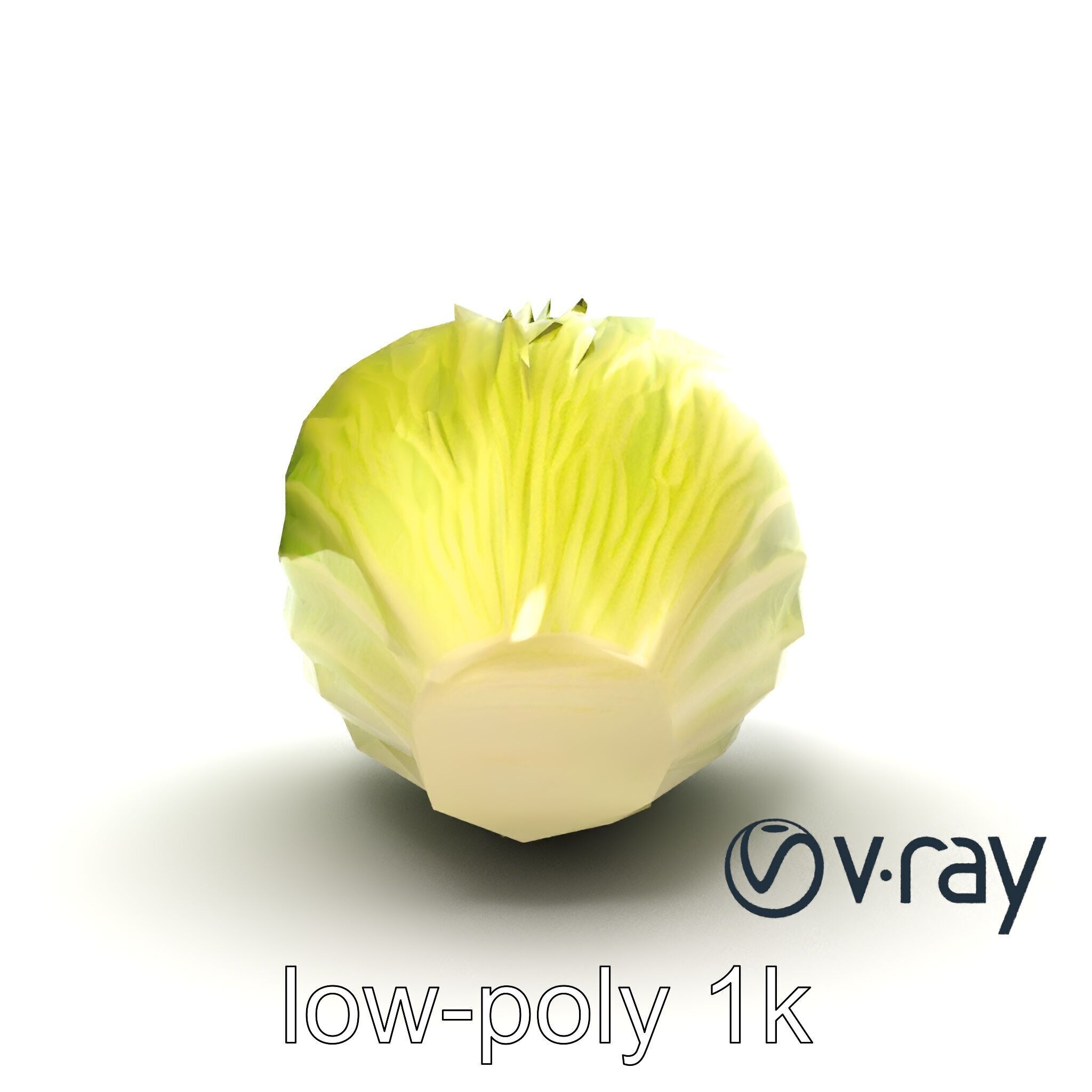 Realistic Chinese Cabbage Model Pack Low-poly 3D model_12