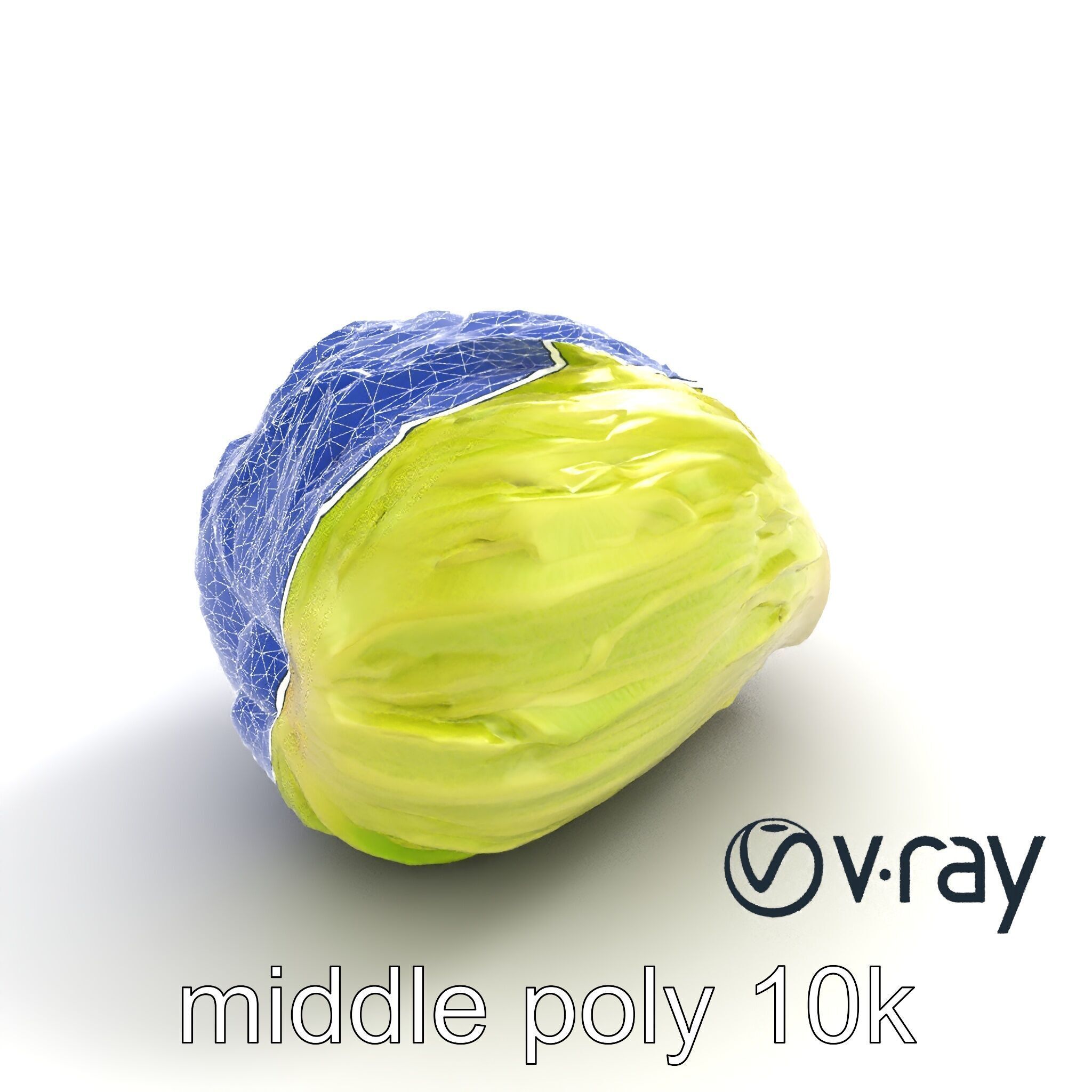 Realistic Chinese Cabbage Model Pack Low-poly 3D model_18