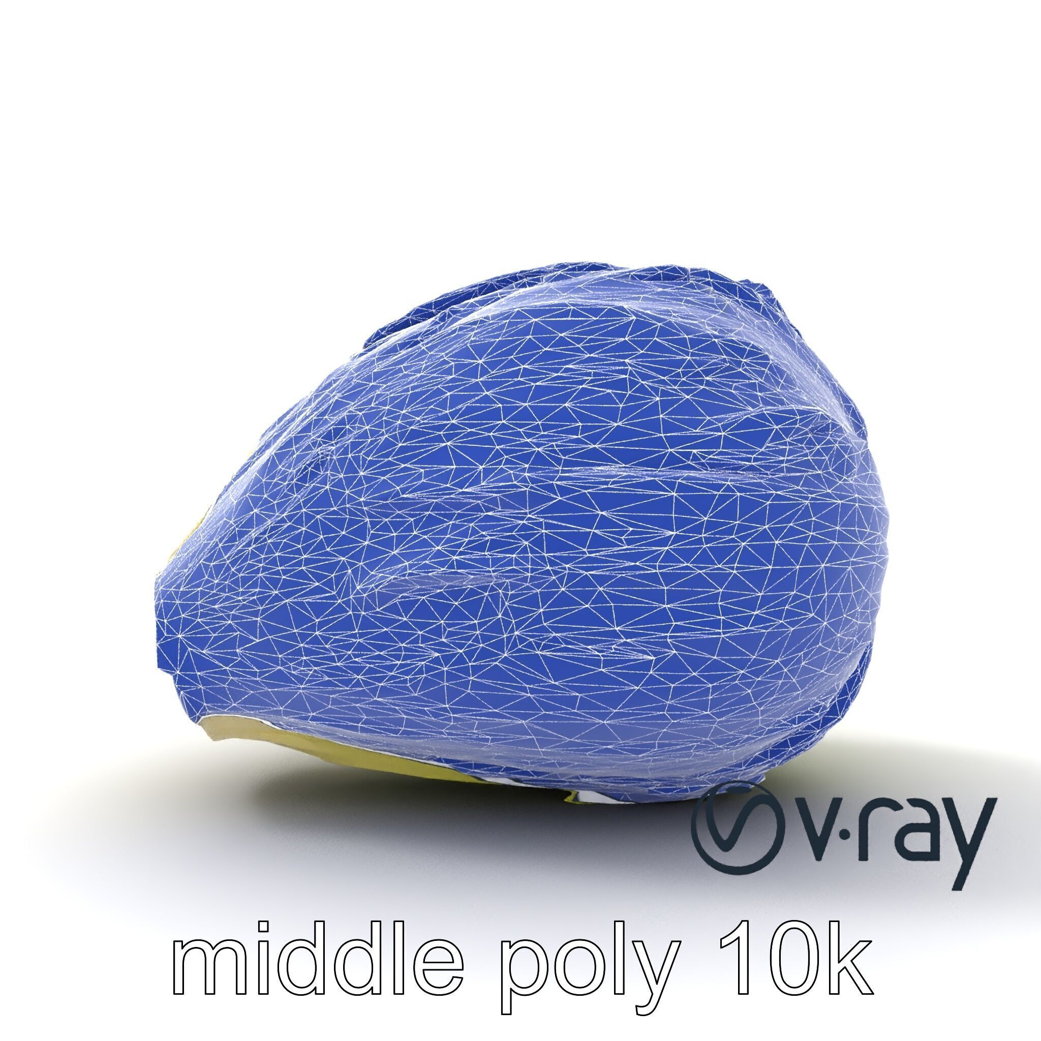 Realistic Chinese Cabbage Model Pack Low-poly 3D model_26