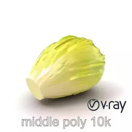 Realistic Chinese Cabbage Model Pack Low-poly 3D model