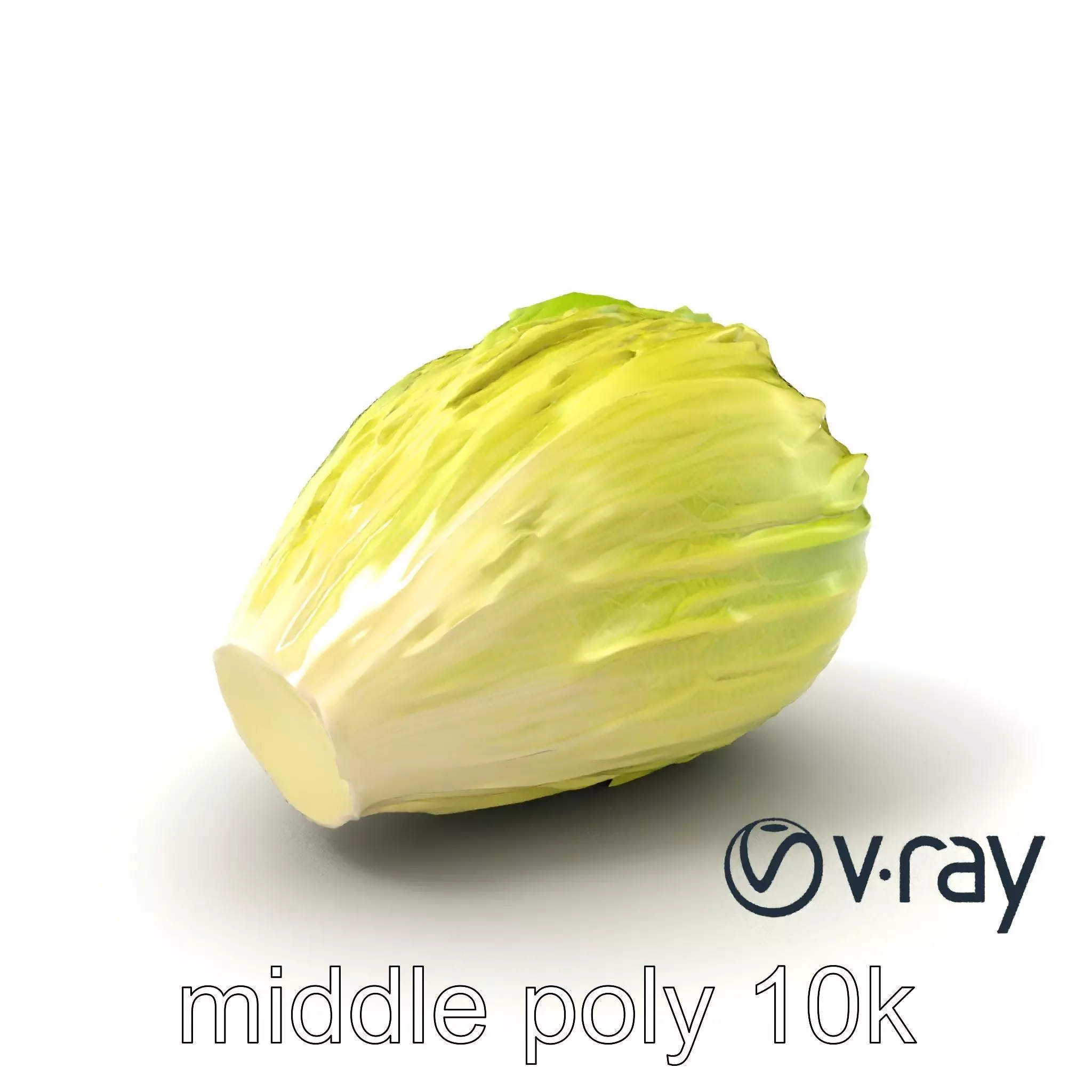 Realistic Chinese Cabbage Model Pack Low-poly 3D model_0