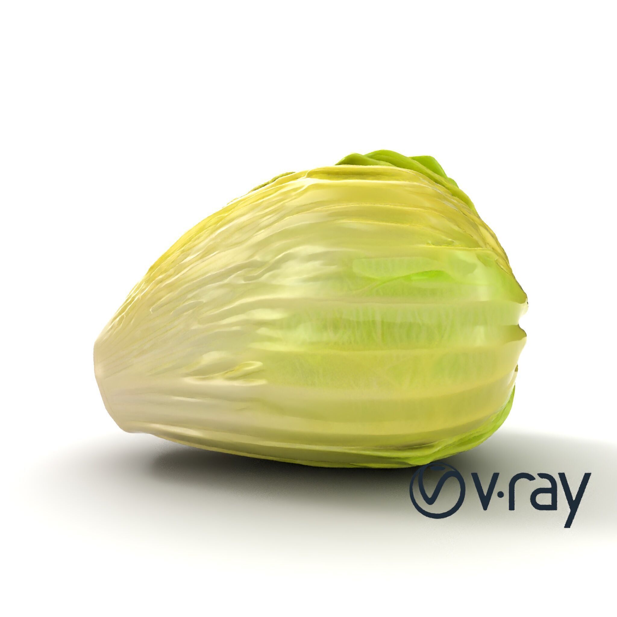 Realistic Chinese Cabbage Model Pack Low-poly 3D model_31