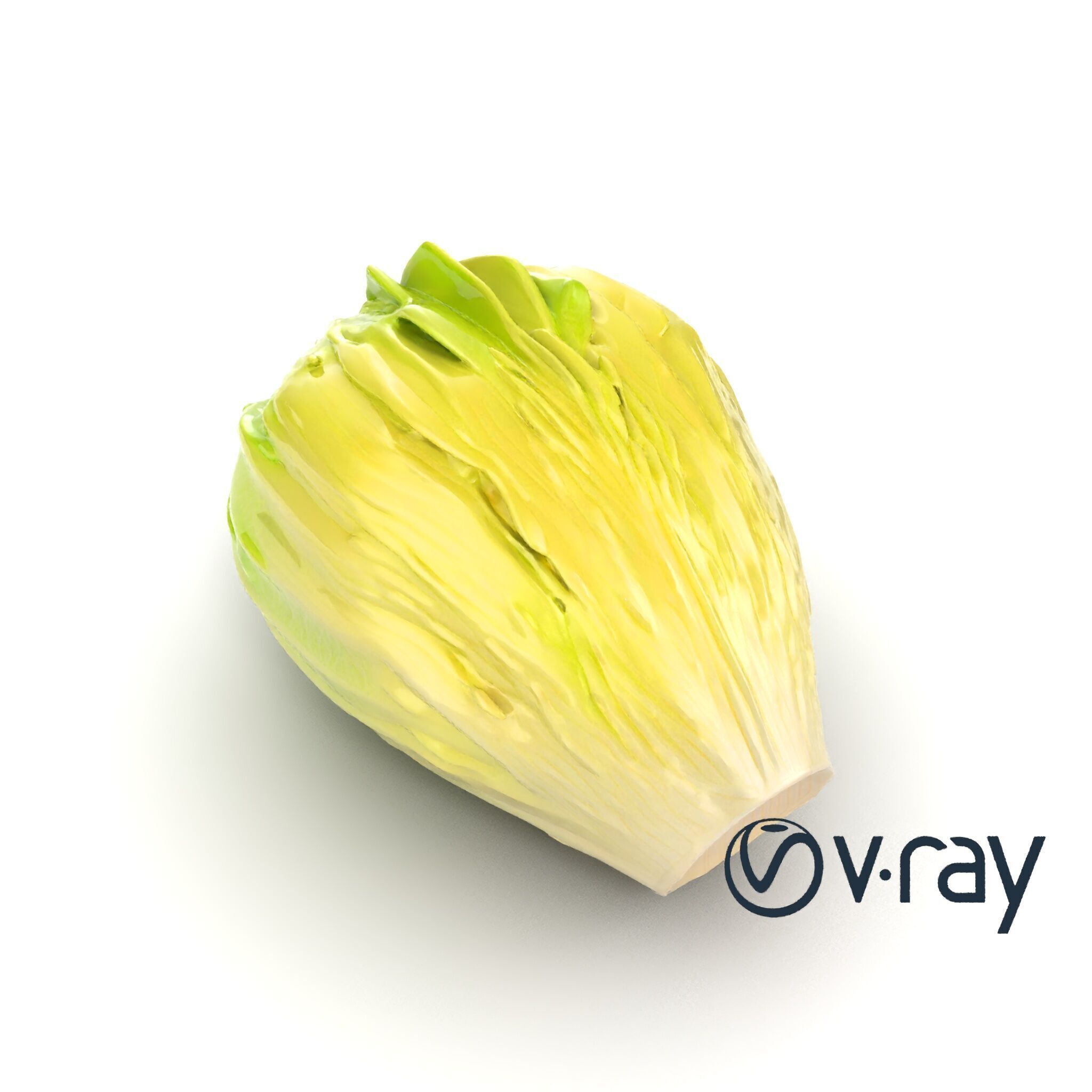 Realistic Chinese Cabbage Model Pack Low-poly 3D model_29