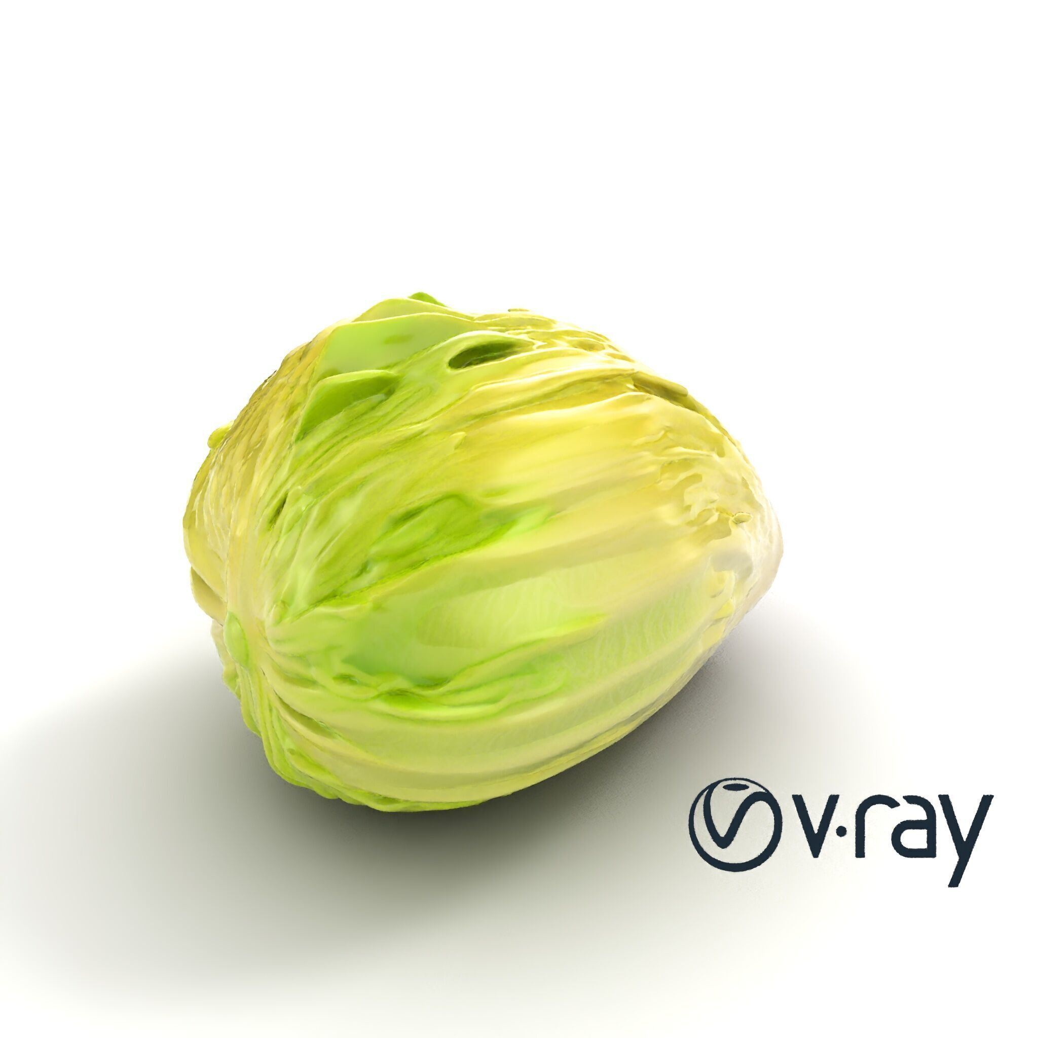 Realistic Chinese Cabbage Model Pack Low-poly 3D model_14