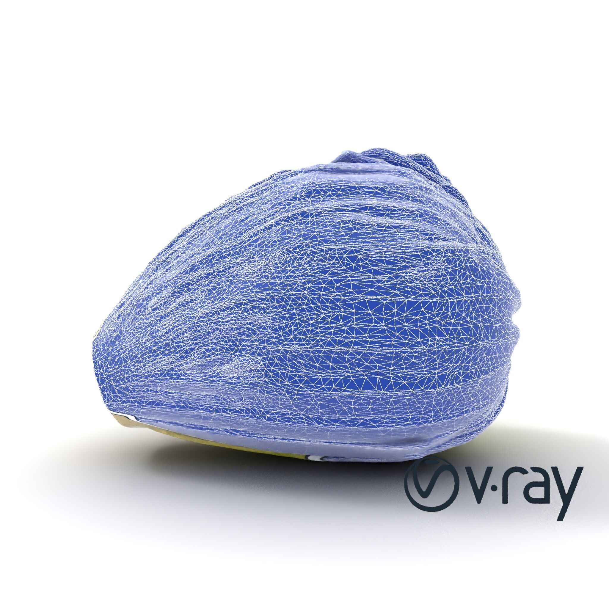 Realistic Chinese Cabbage Model Pack Low-poly 3D model_27